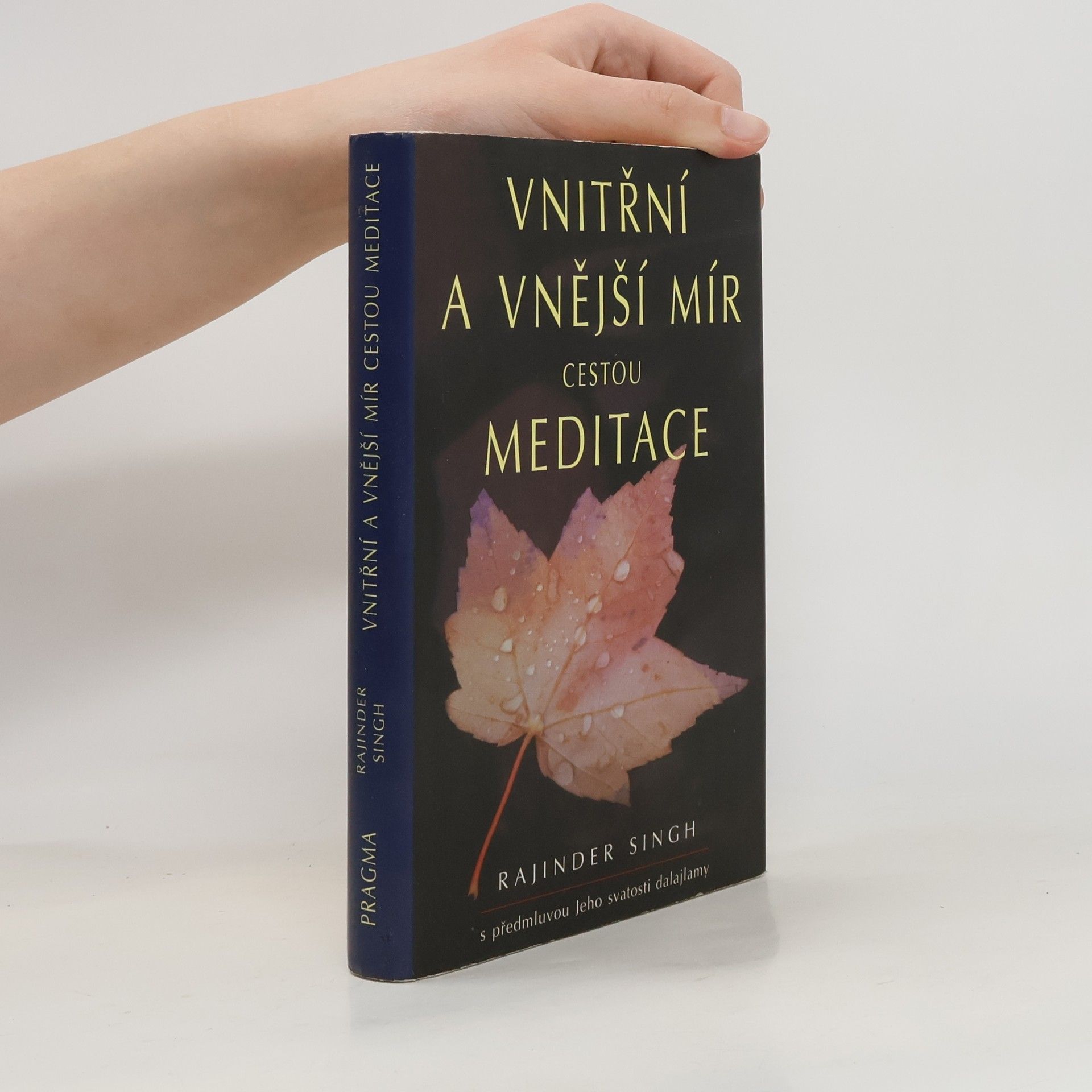 Rajinder Singh Vnitřní a vnější mír cestou meditace