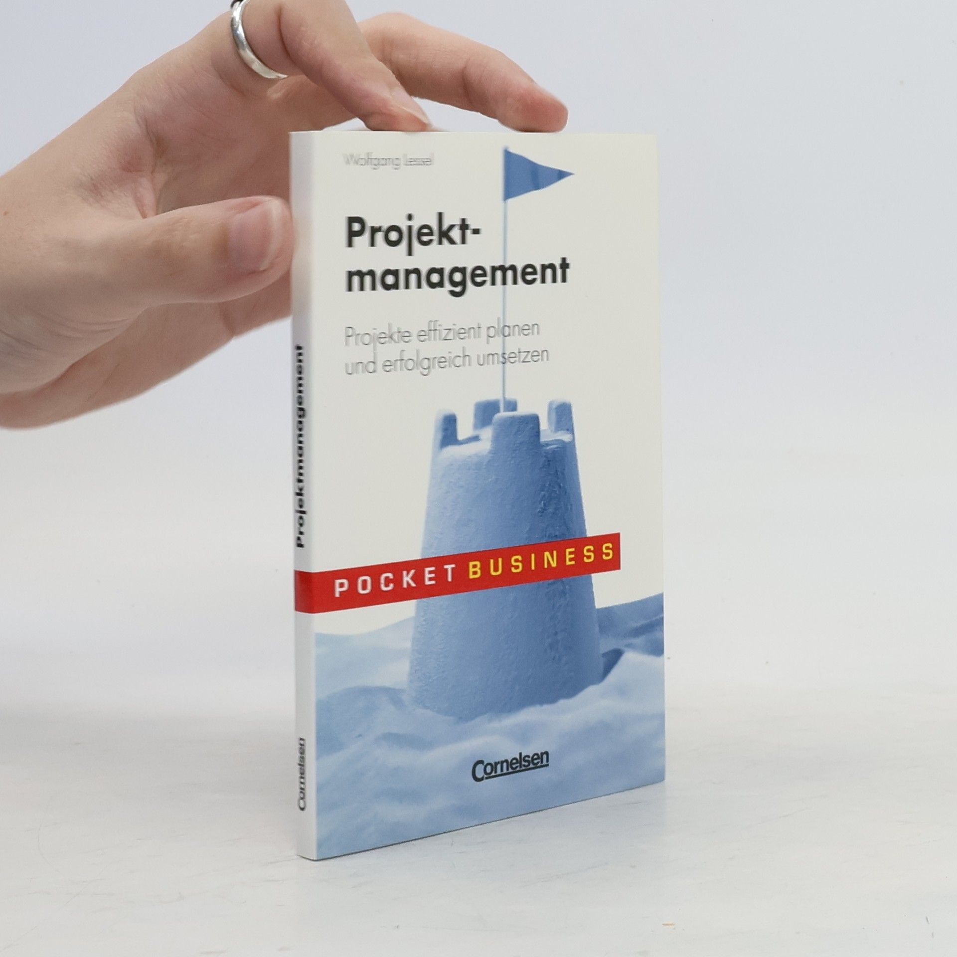 Wolfgang Lessel Projektmanagement