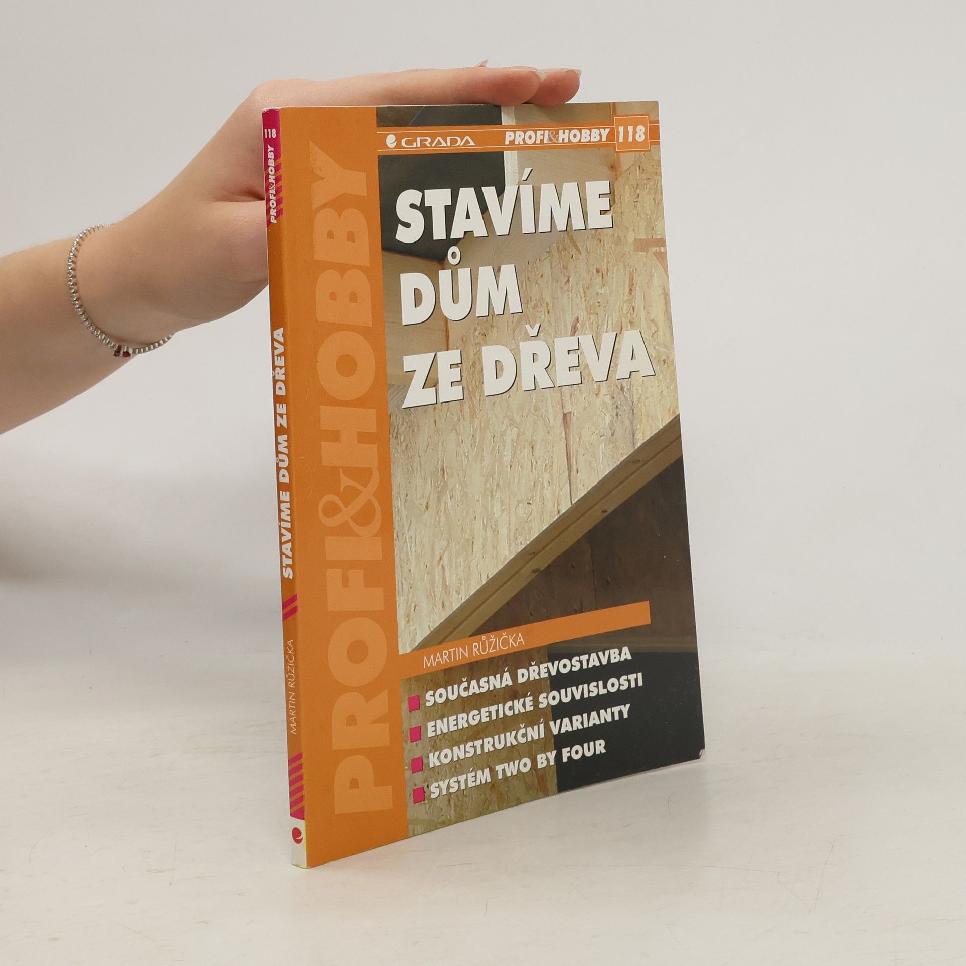 Martin Růžička Stavíme dům ze dřeva