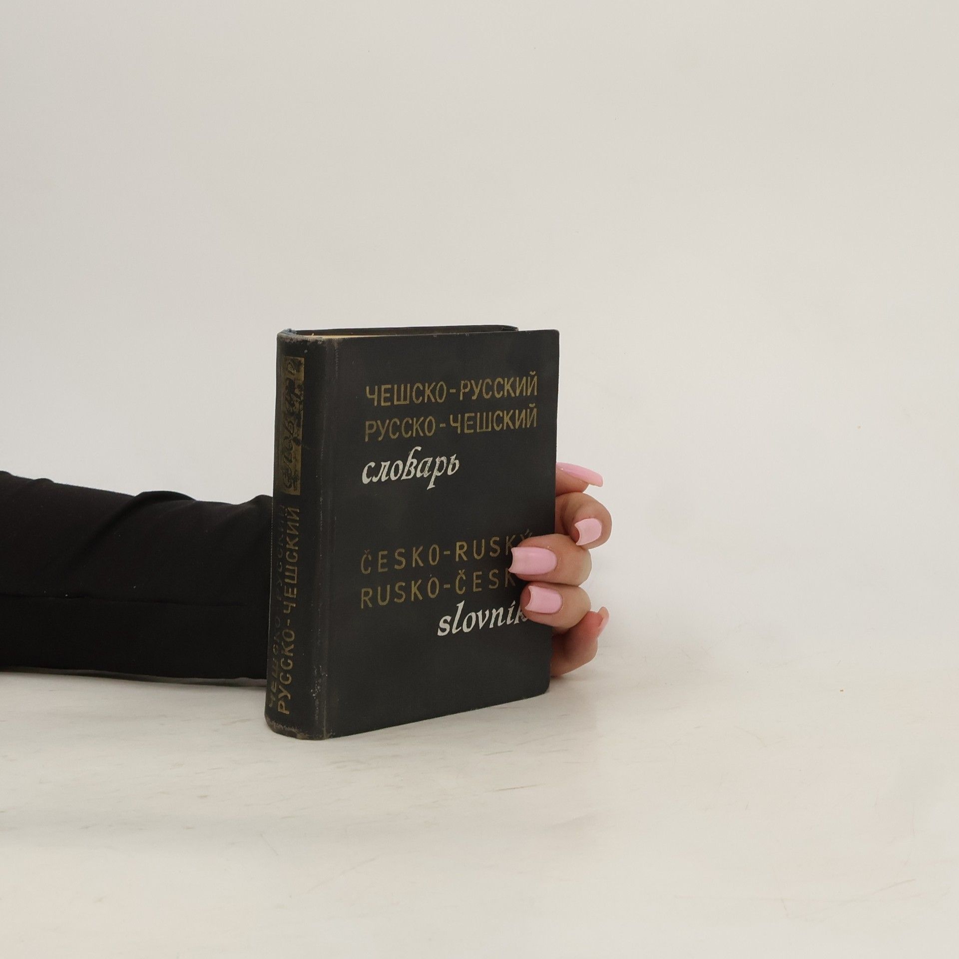 Various authors Словарь-slovník