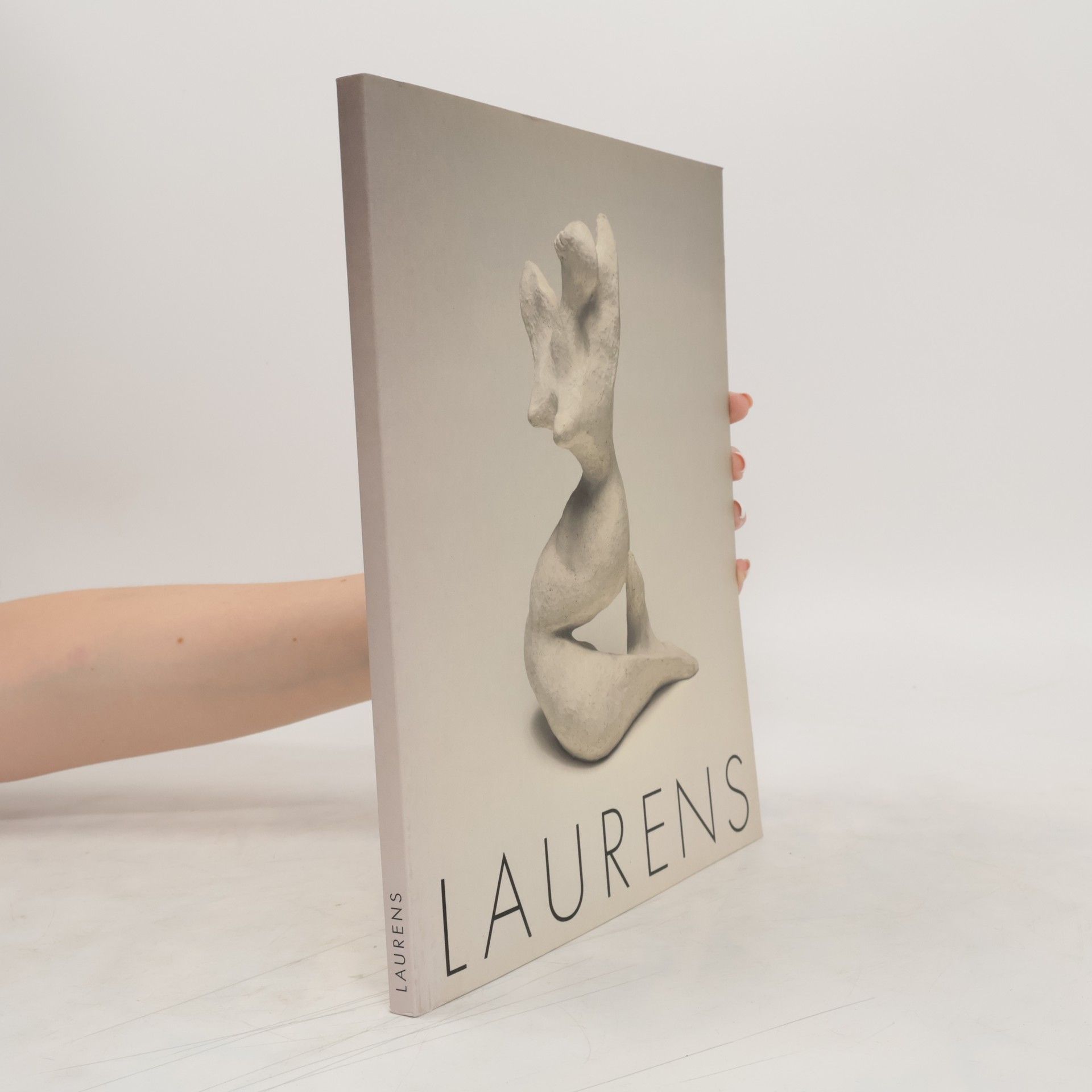 Autorenkollektiv Laurens