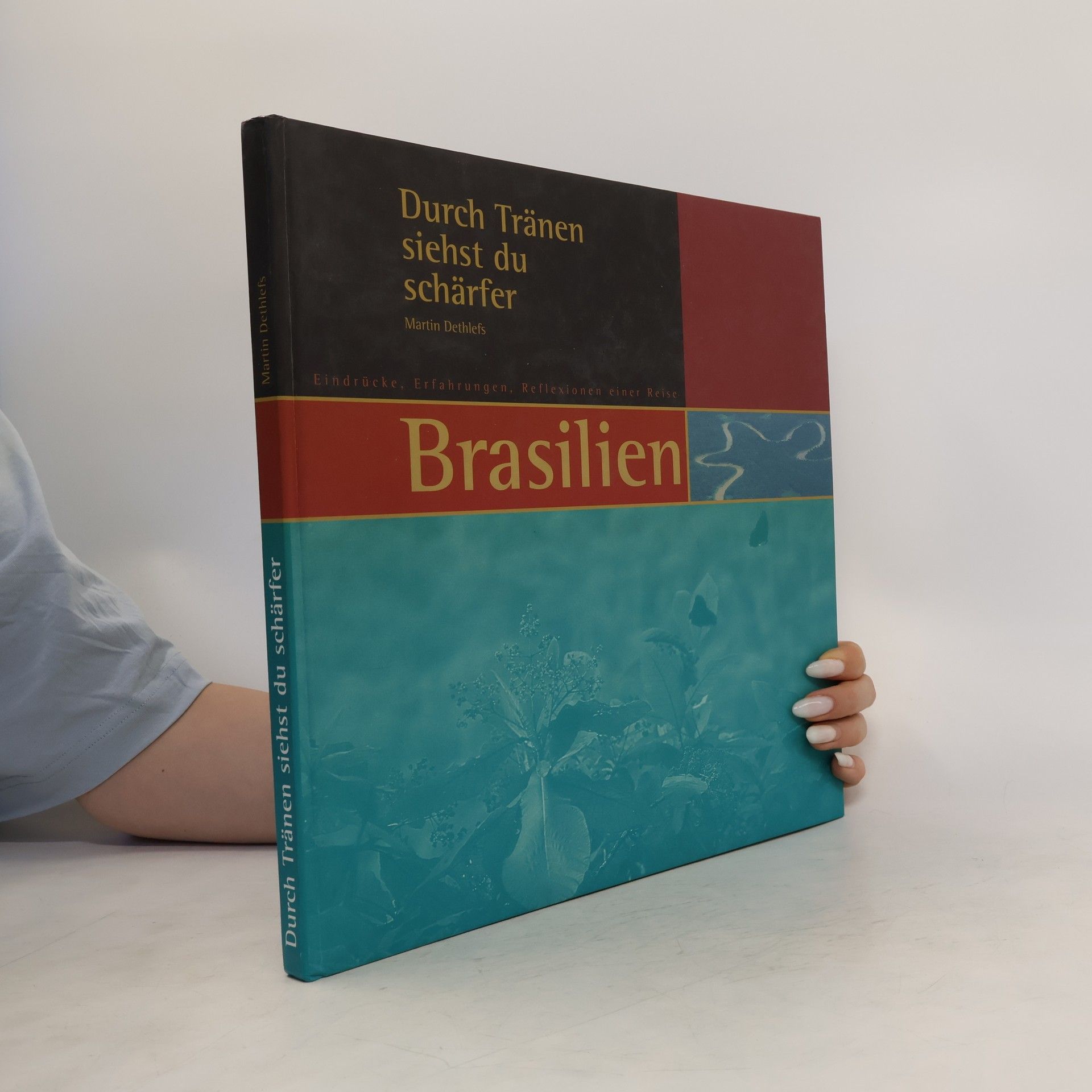 Martin Dethlefs Durch Tränen siehst du schärfer