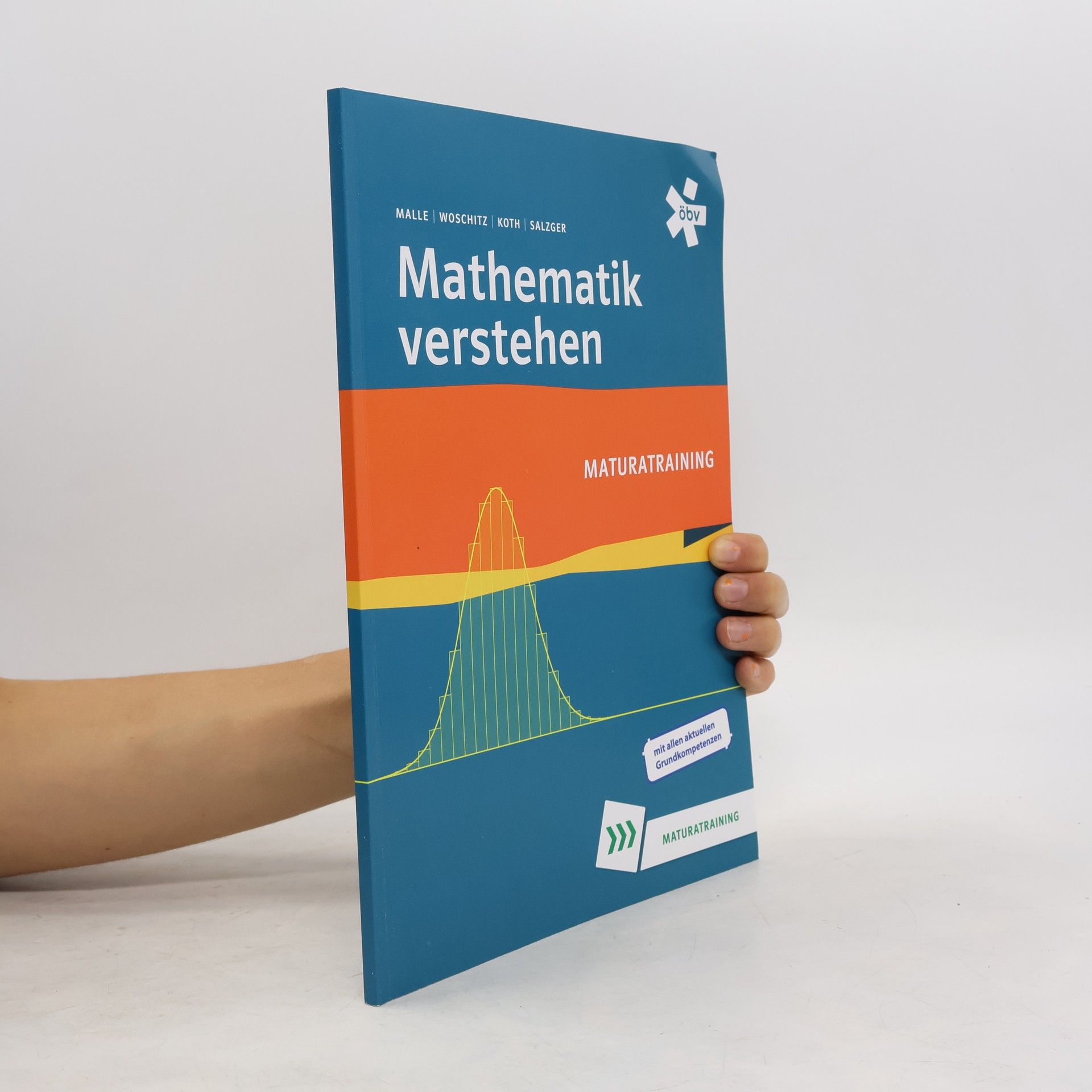 Günther Malle Mathematik verstehen