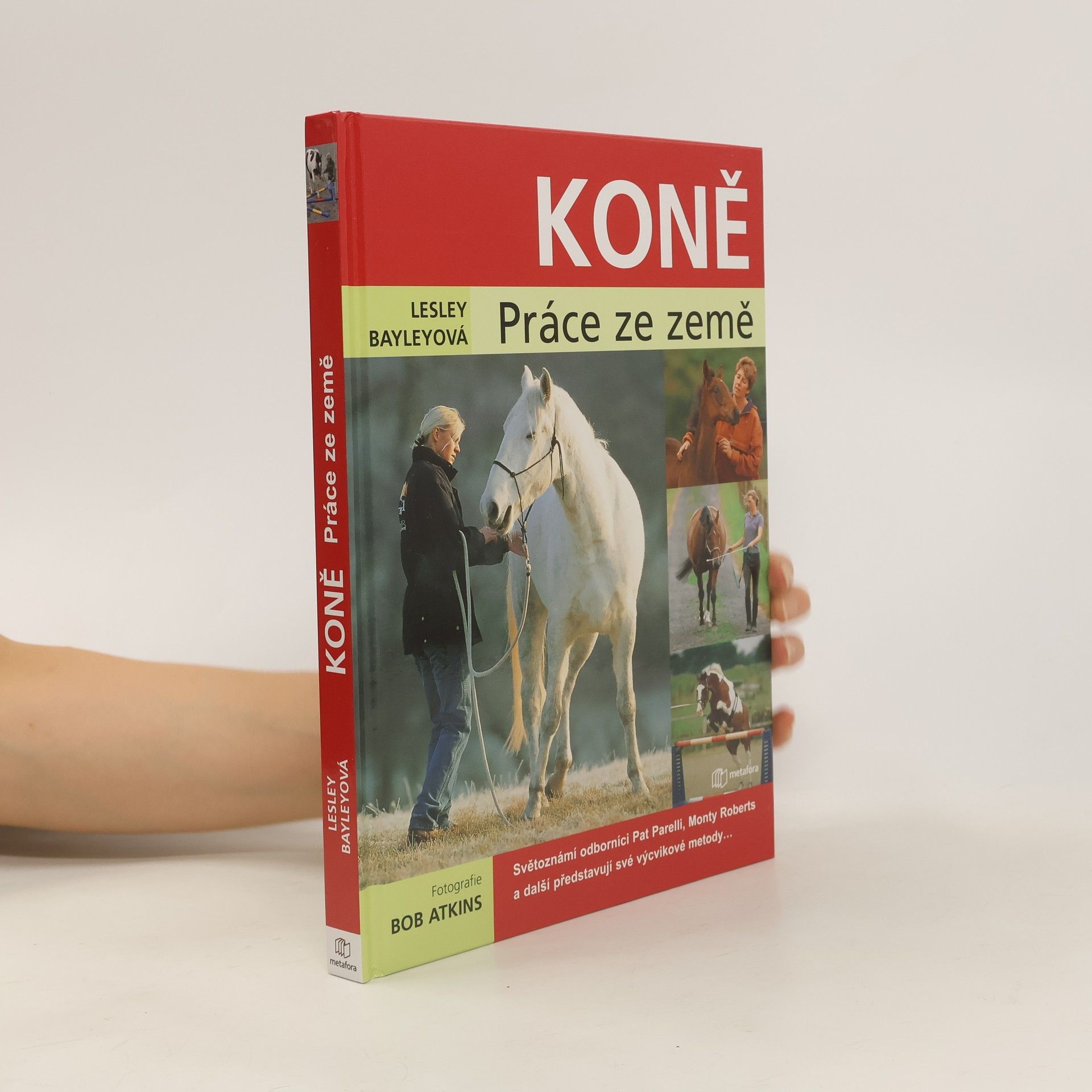 Lesley Bayley Koně. Práce ze země