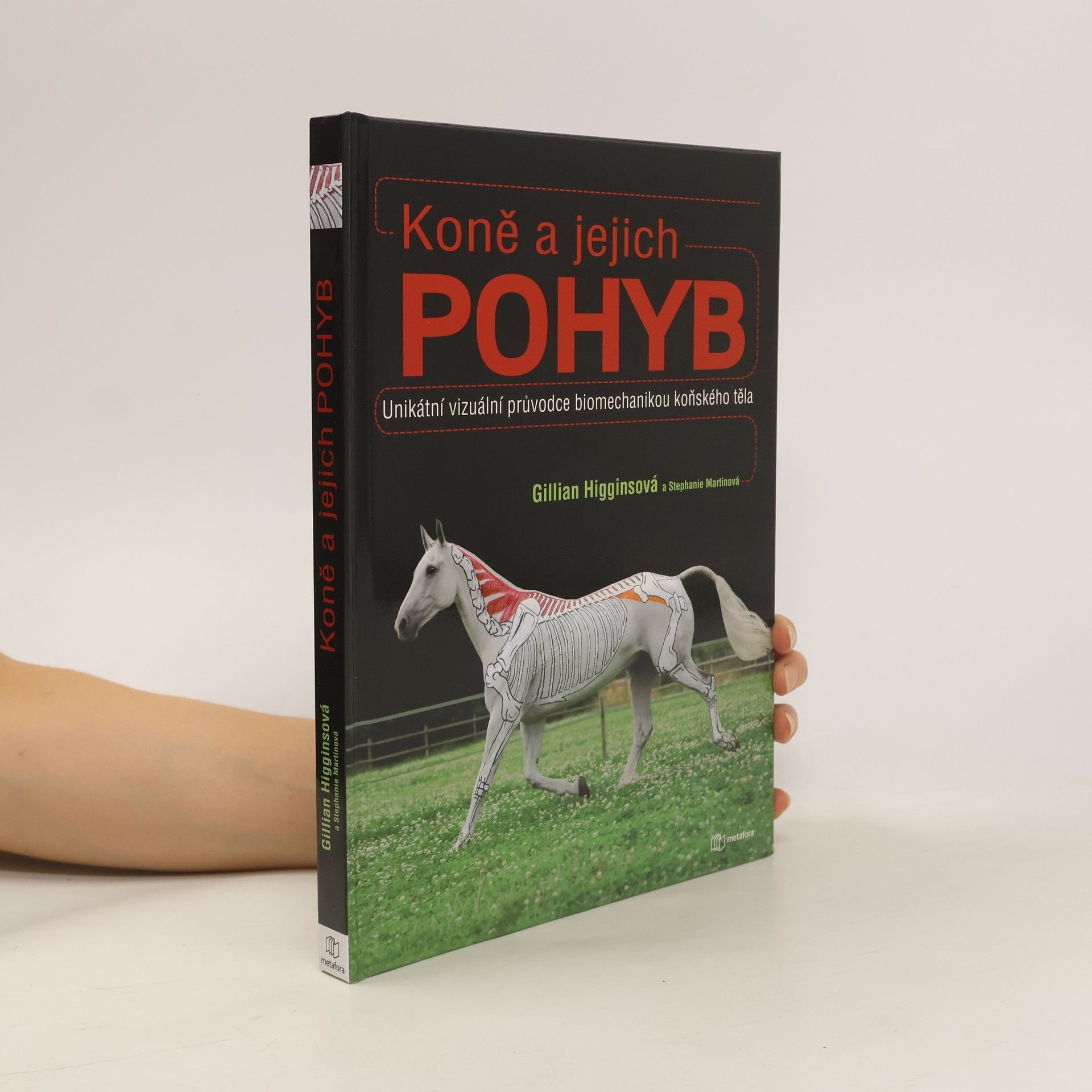 Gillian Higgins Koně a jejich pohyb