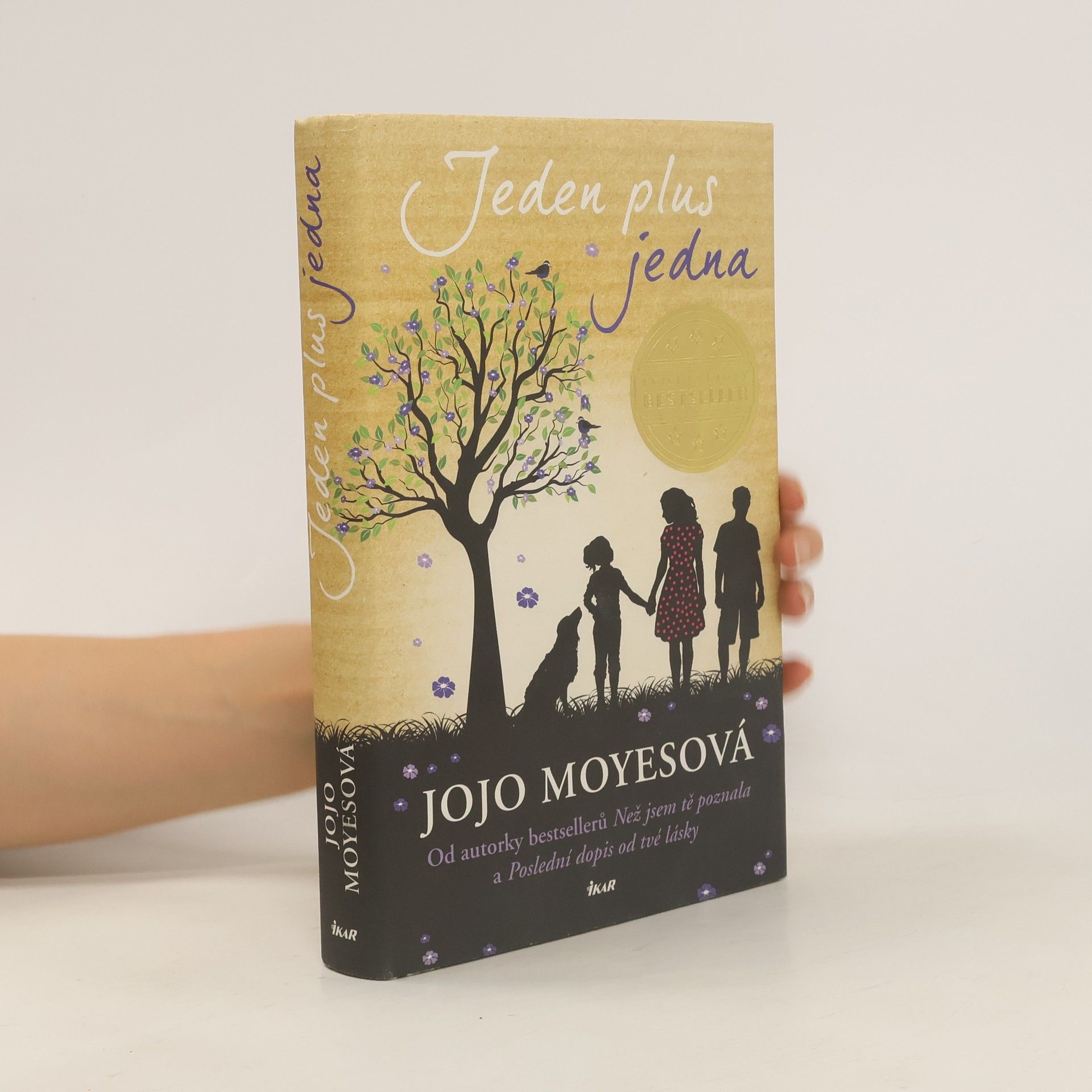 Jojo Moyes Jeden plus jedna