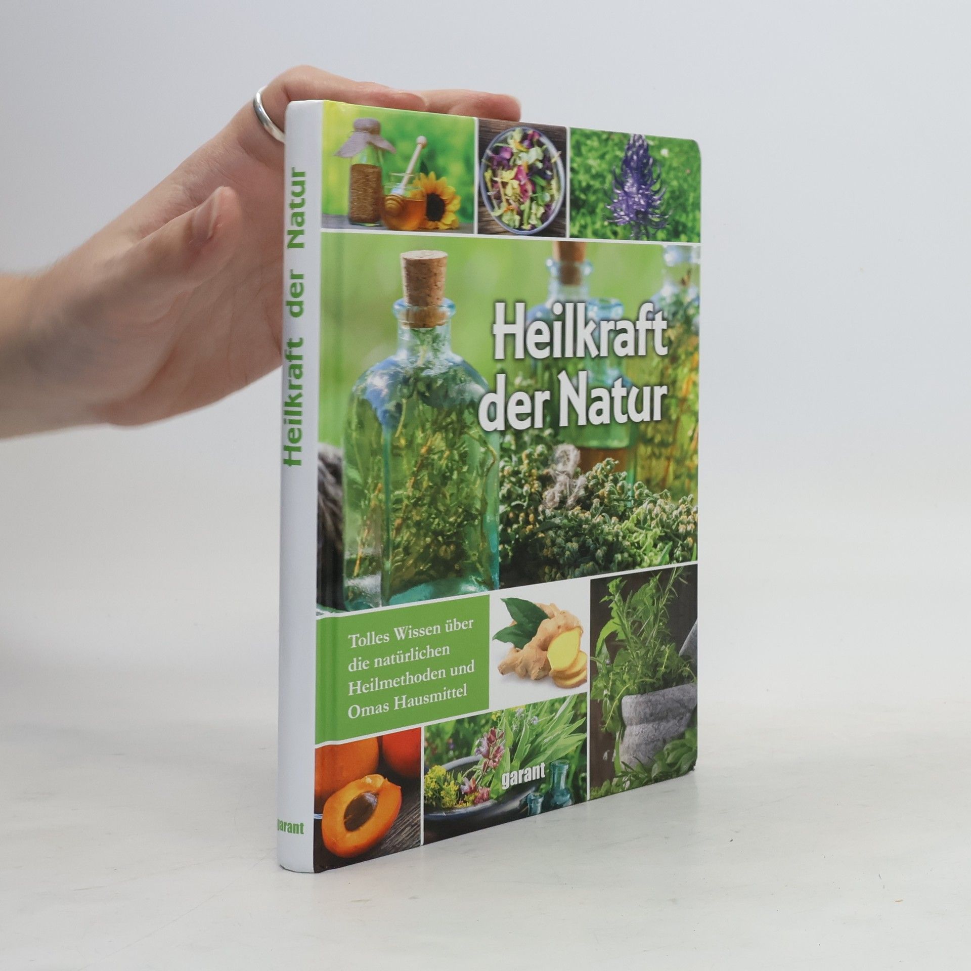Susanne Lamprecht Heilkraft der Natur