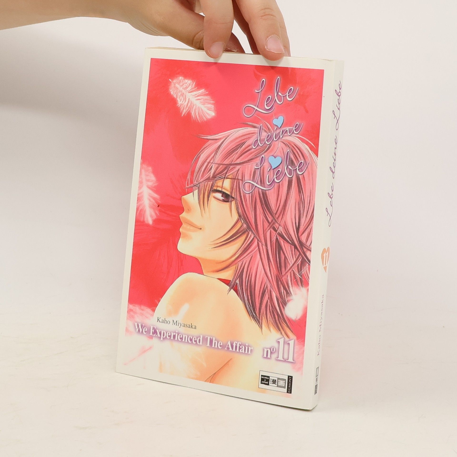 Kaho Miyasaka Lebe deine Liebe : we experienced the affair 11