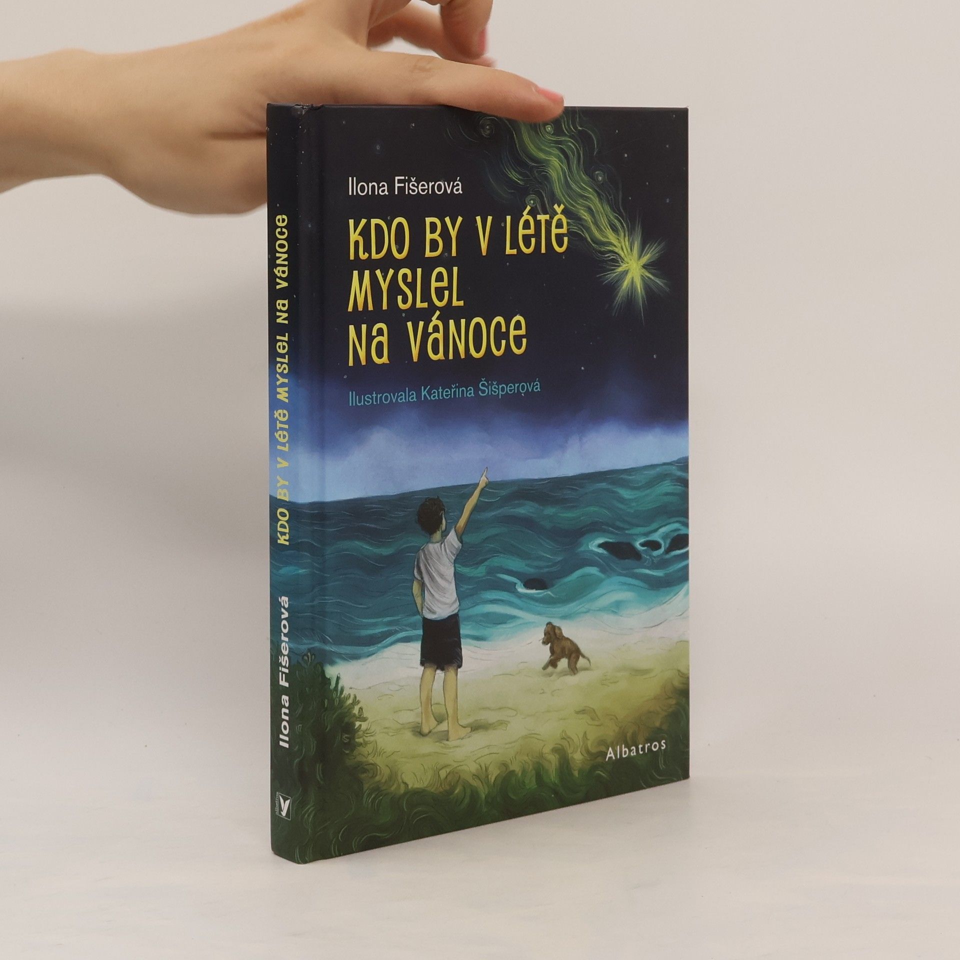 Ilona Fišerová Kdo by v létě myslel na Vánoce