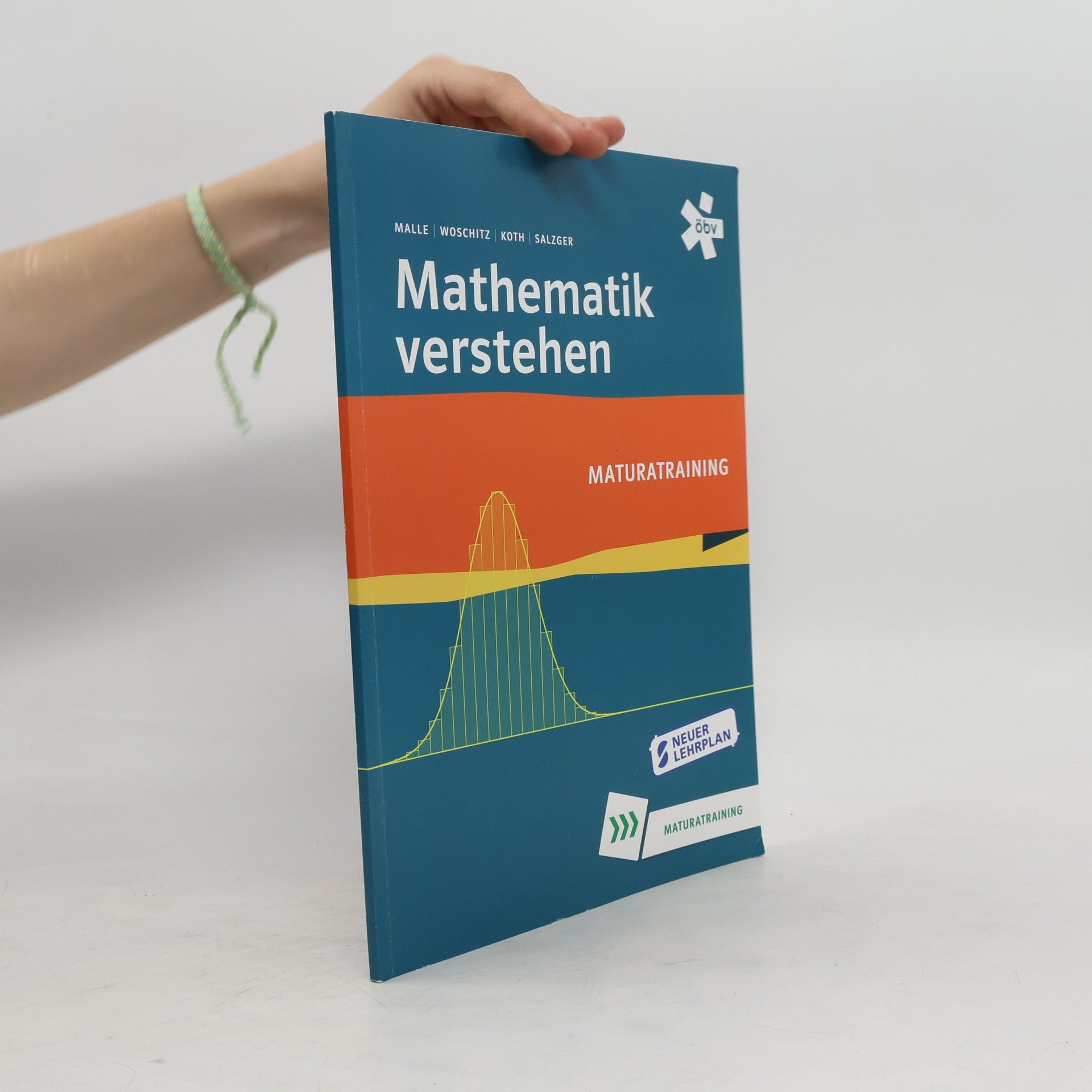 Günther Malle Mathematik verstehen