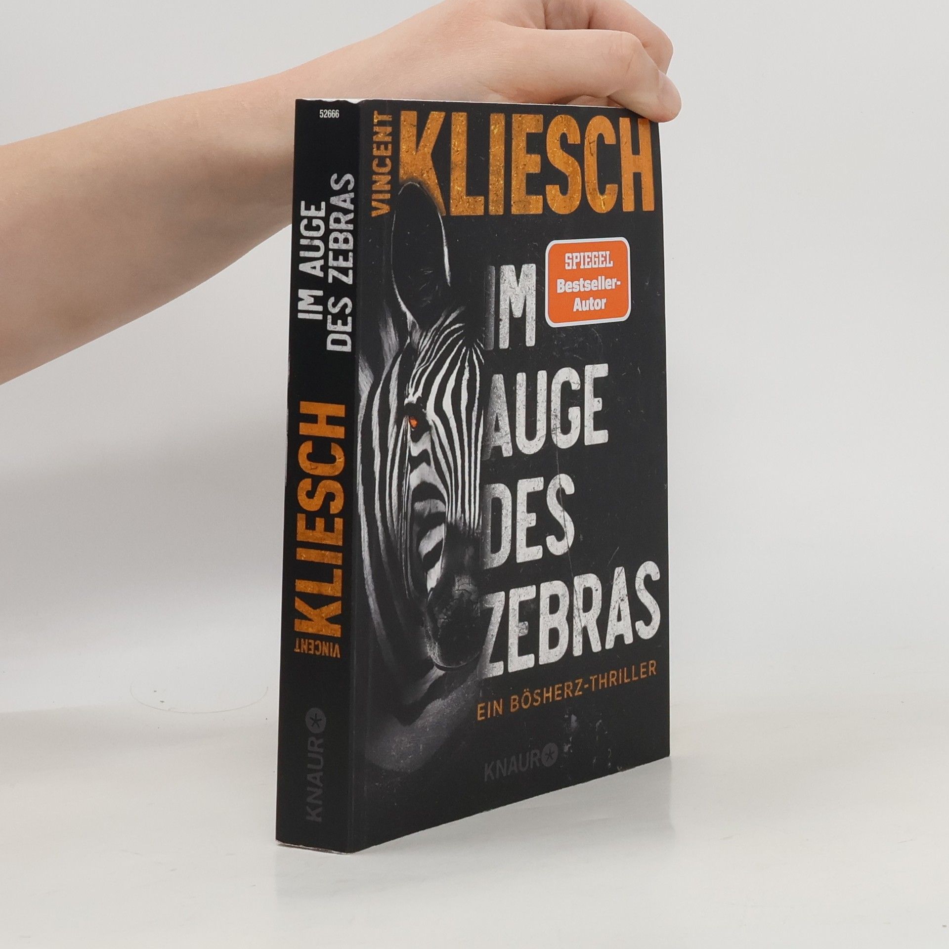 Vincent Kliesch Im Auge des Zebras
