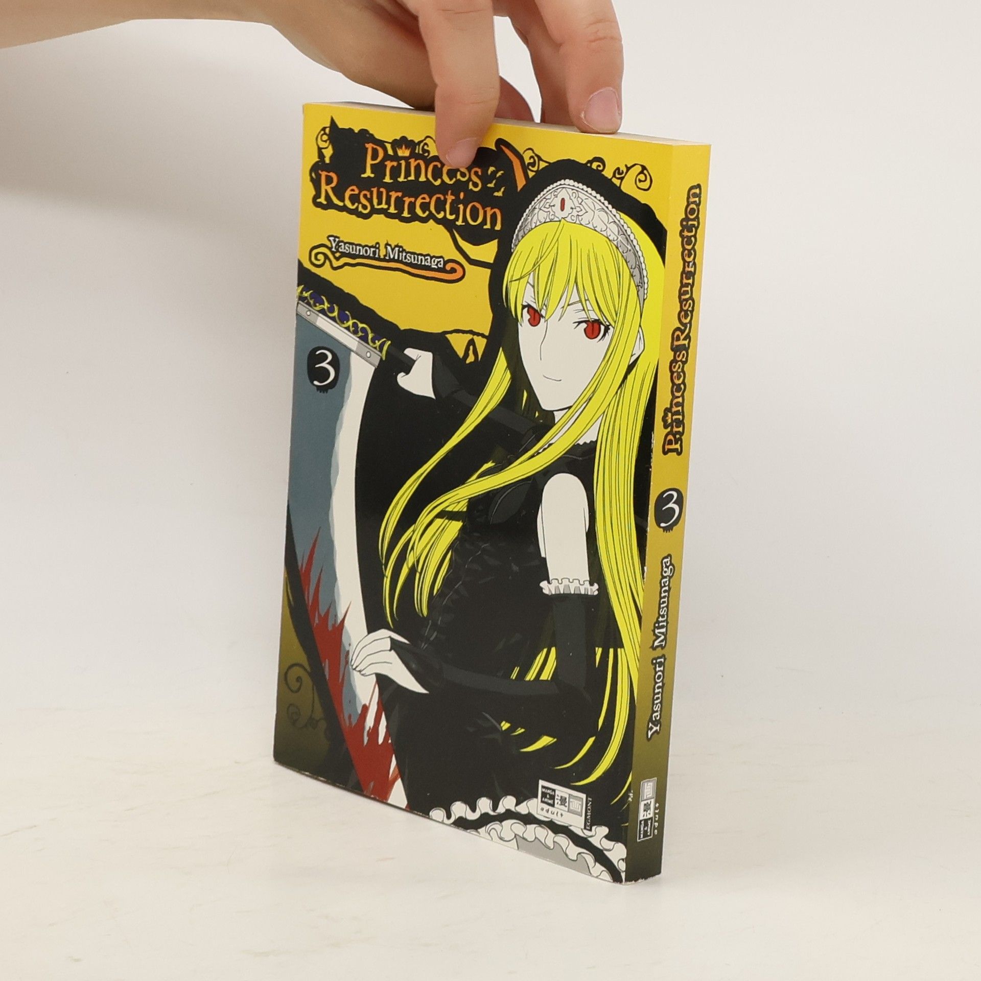 Yasunori Mitsunaga Princess Resurrection 03