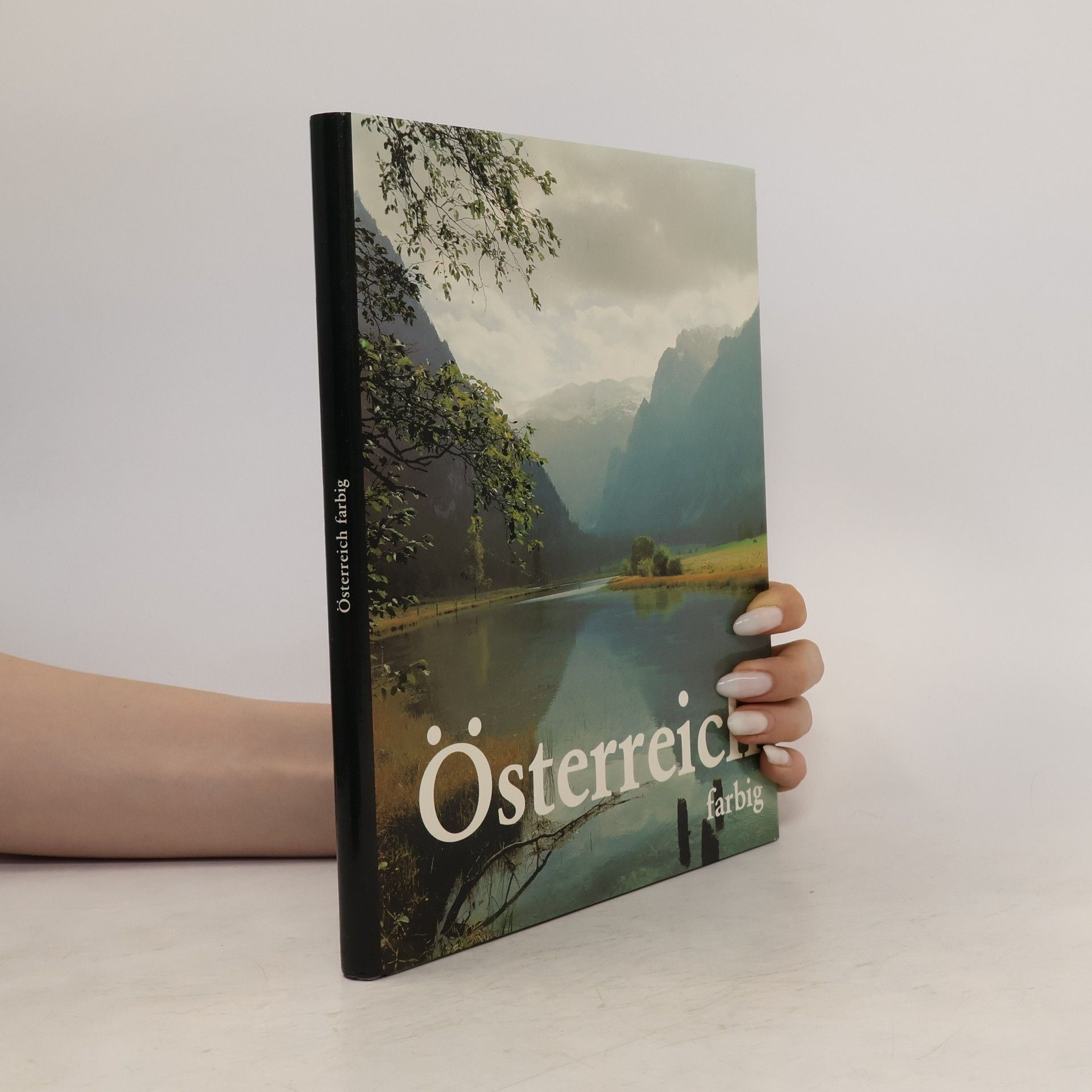kolektiv Österreich farbig
