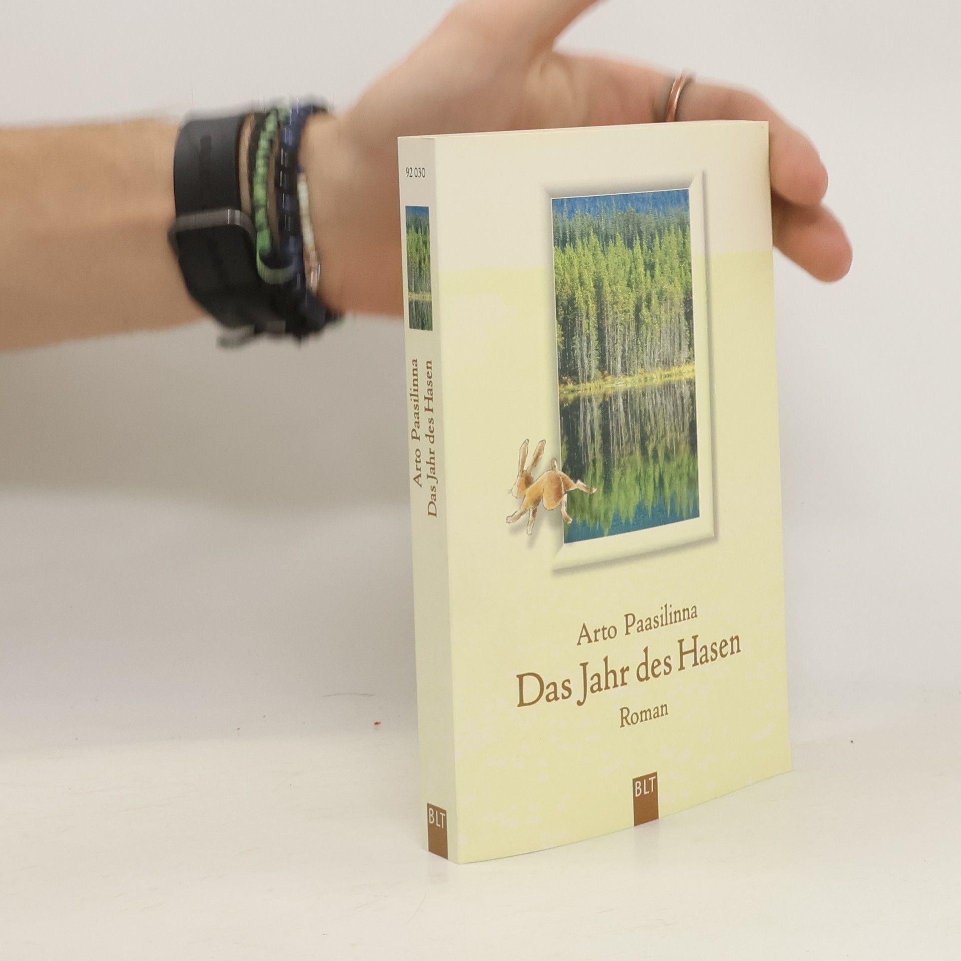 Arto Paasilinna Das Jahr des Hasen