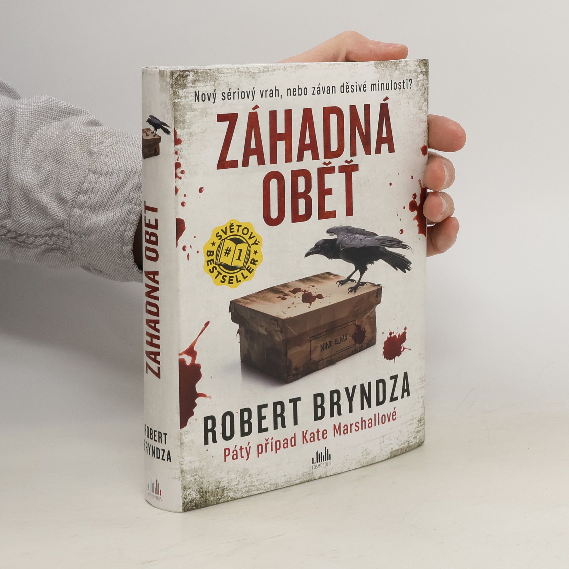 Robert Bryndza Záhadná oběť