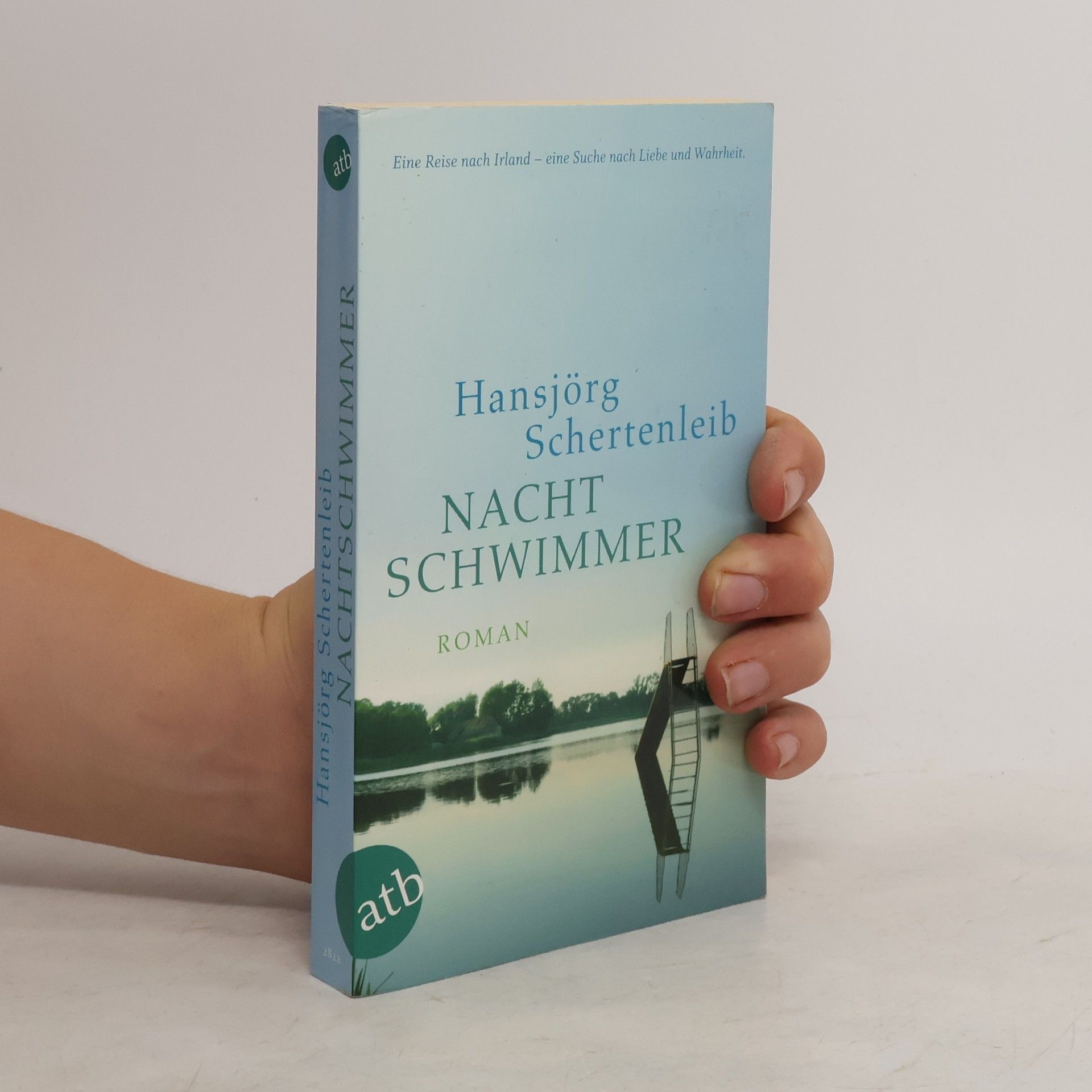 Hansjörg Schertenleib Nachtschwimmer