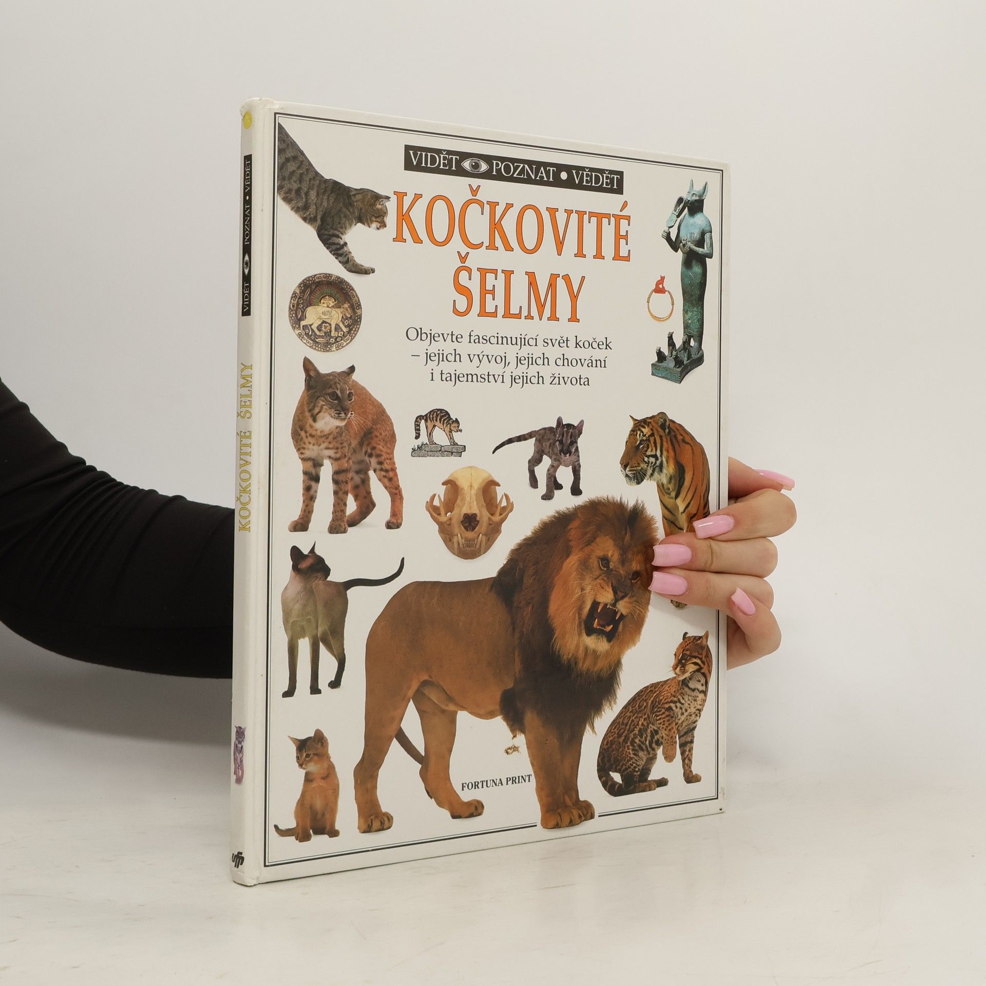 Juliet Clutton-Brock Kočkovité šelmy