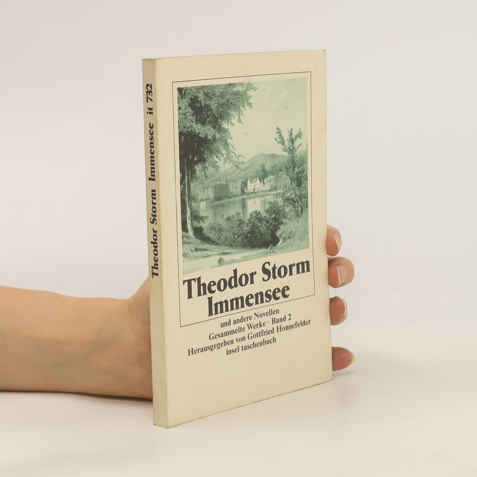 Theodor Storm Immensee und andere Novellen