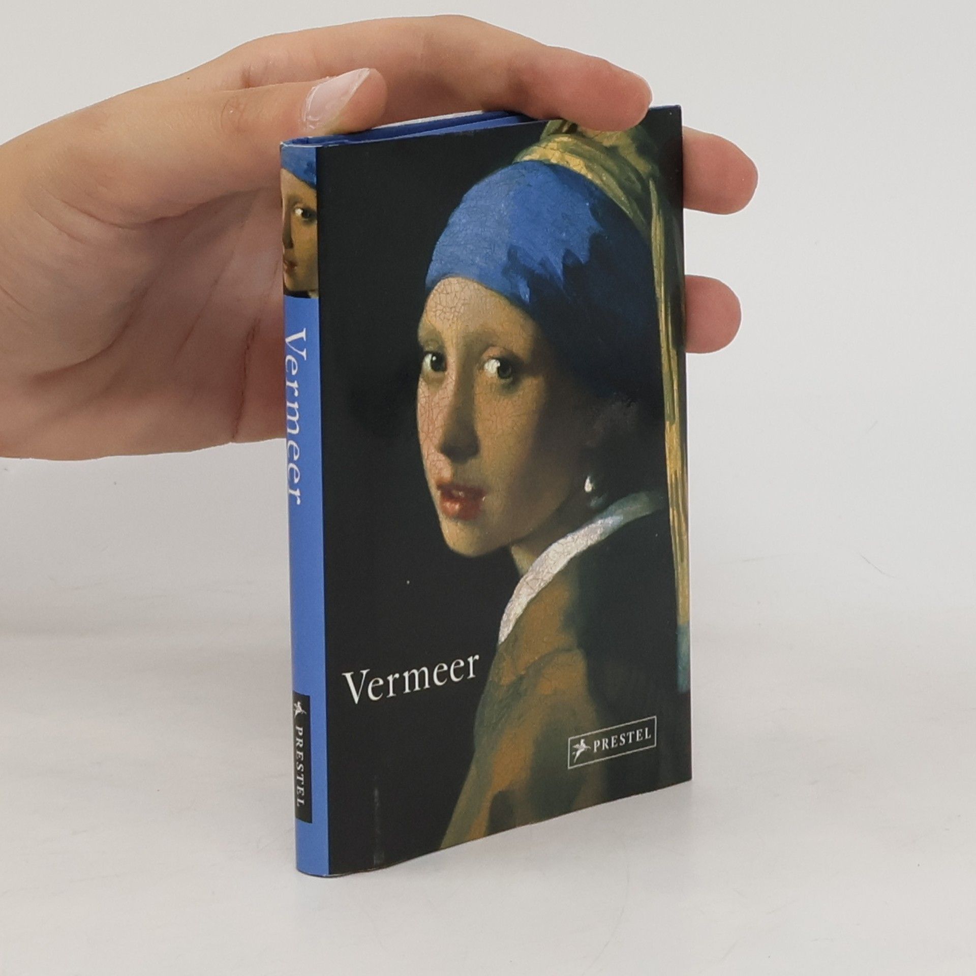 Jan Vermeer van Delft Vermeer