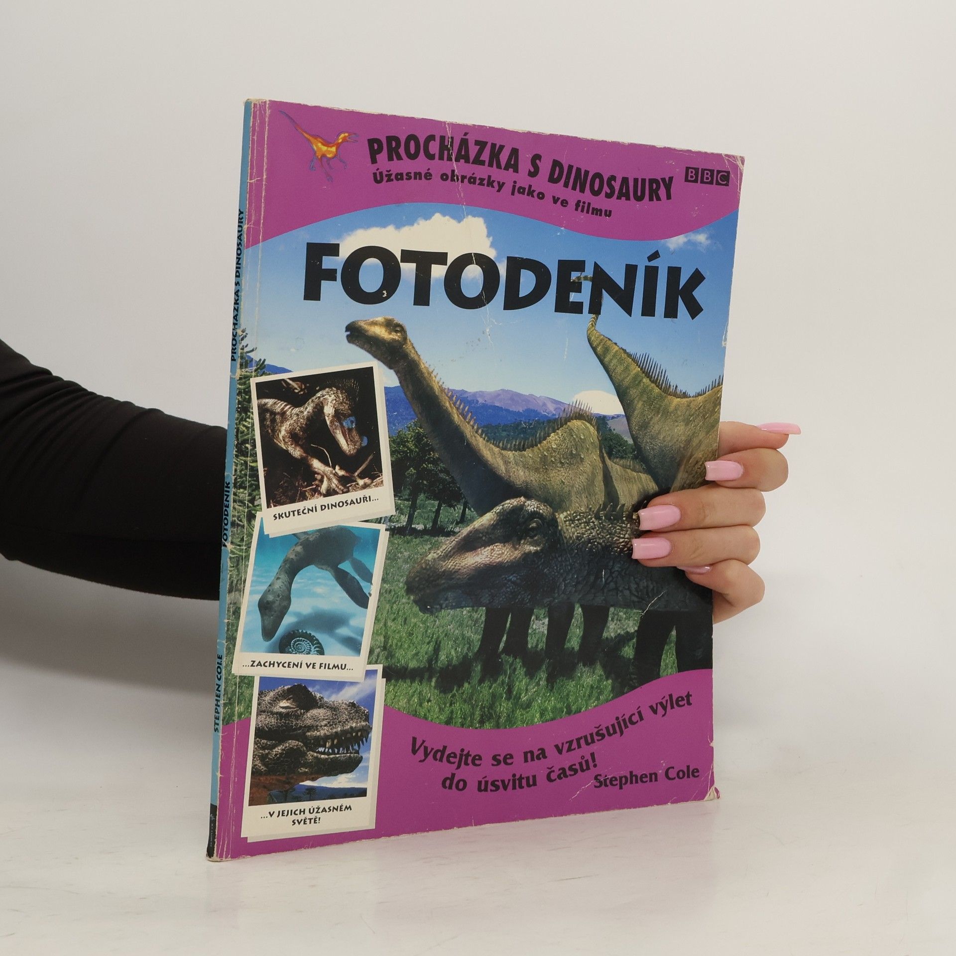 Stephen Cole Procházka s dinosaury - Fotodeník