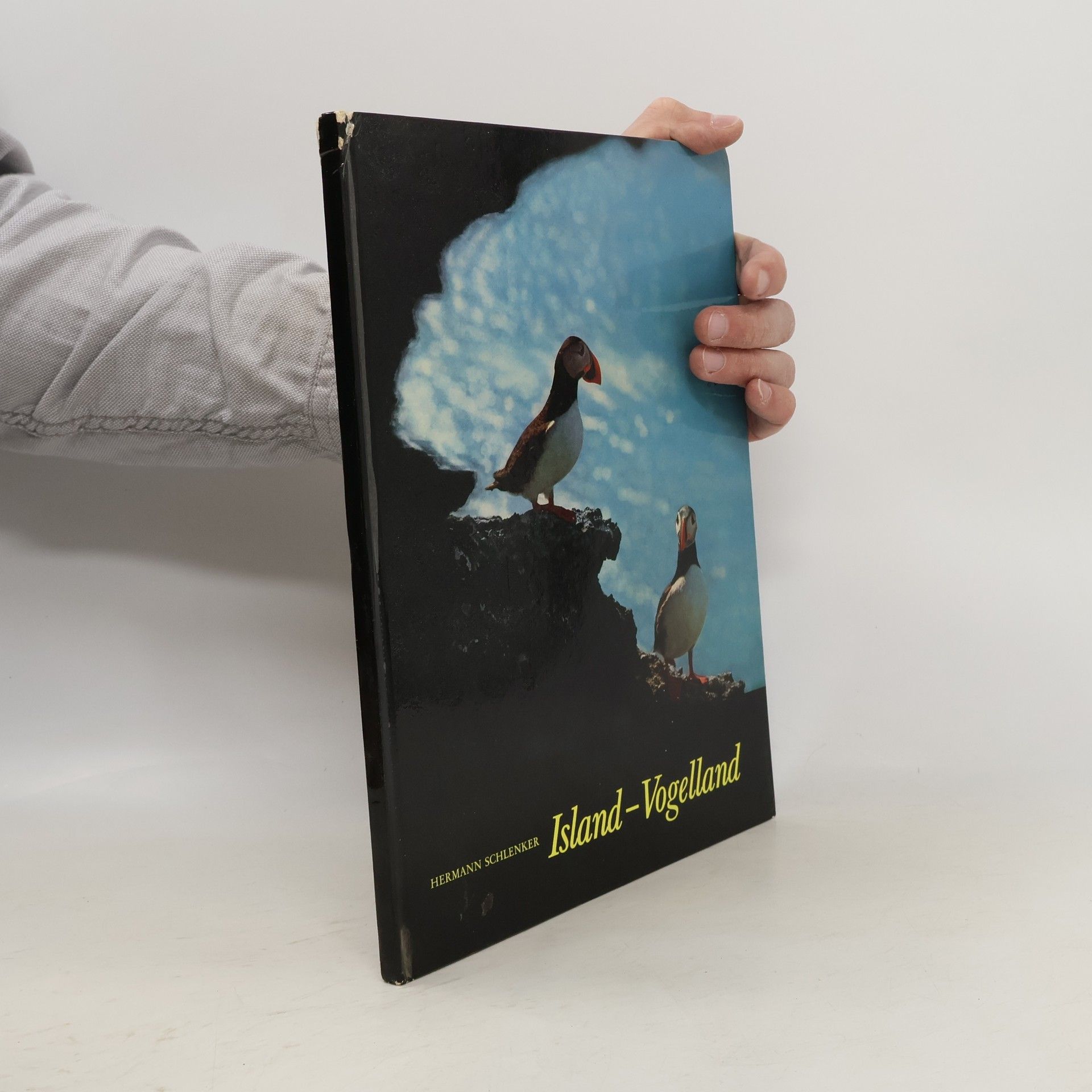Hermann Schlenker Island-Vogelland