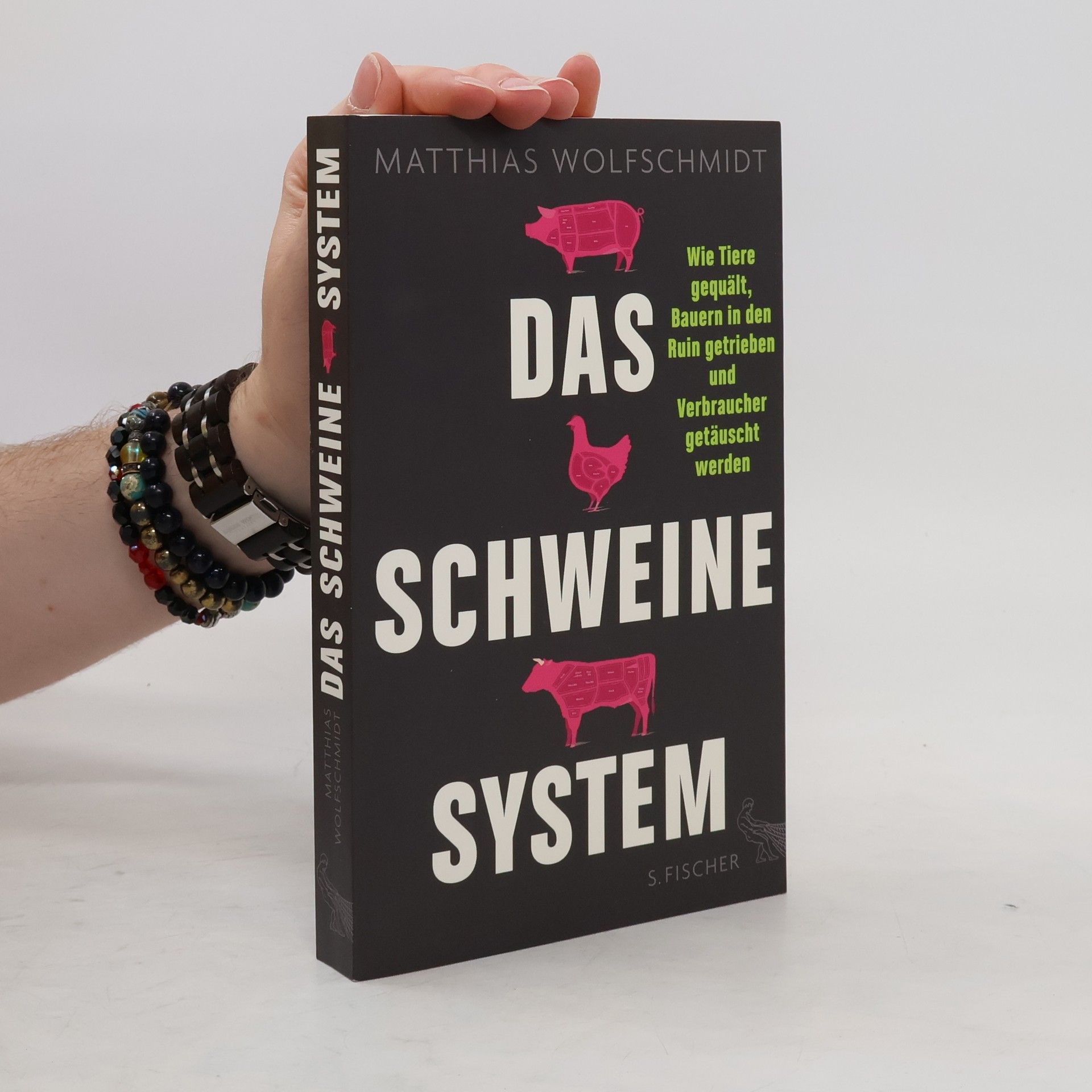 Matthias Wolfschmidt Das Schweinesystem