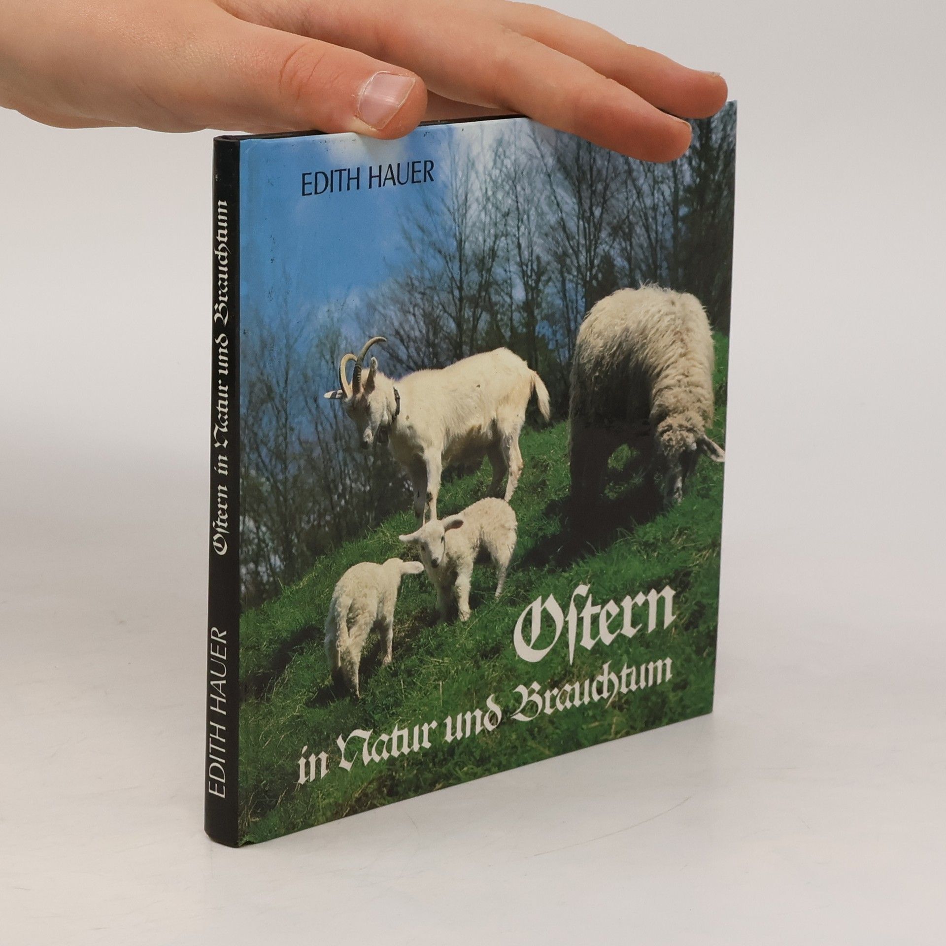 Edith Hauer Ostern in Natur und Brauchtum