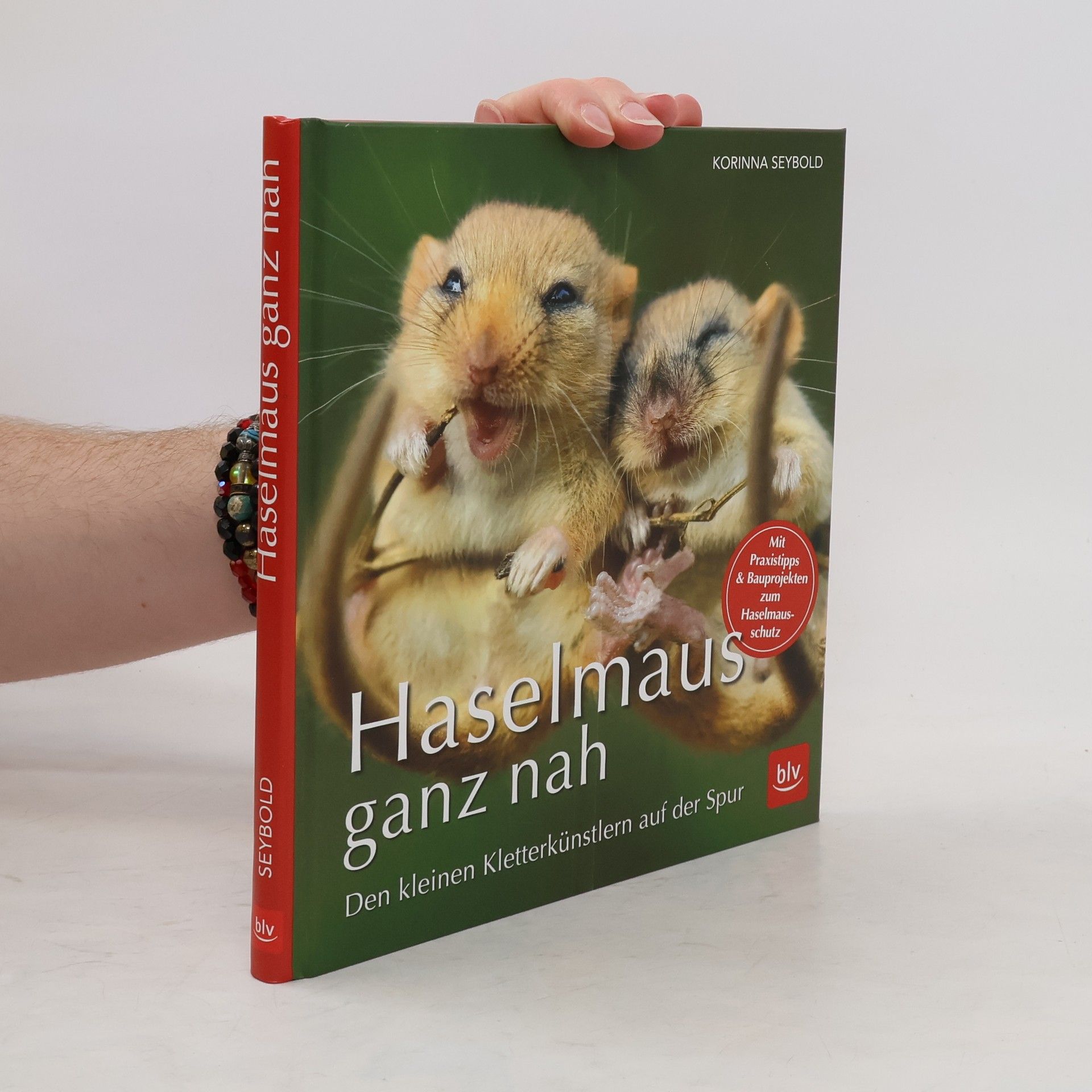 Korinna Seybold Haselmaus ganz nah