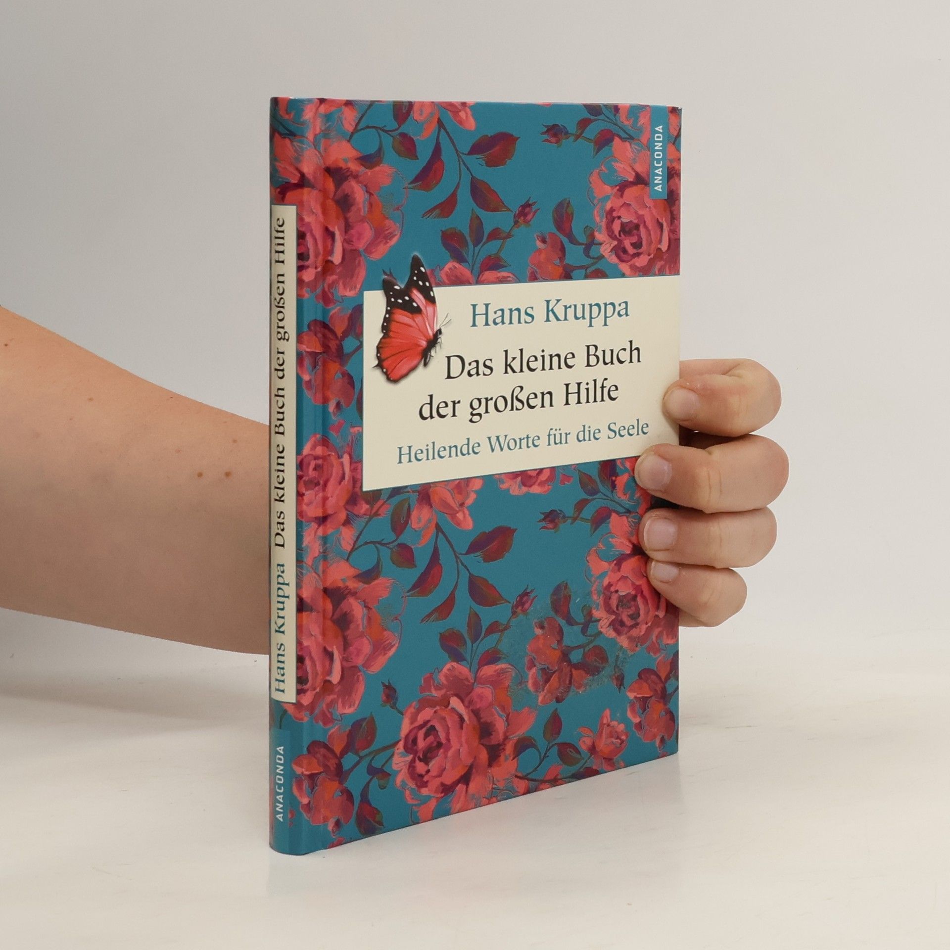 Hans Kruppa Das kleine Buch der großen Hilfe. Heilende Worte für die Seele. Heilende Worte für die Seele