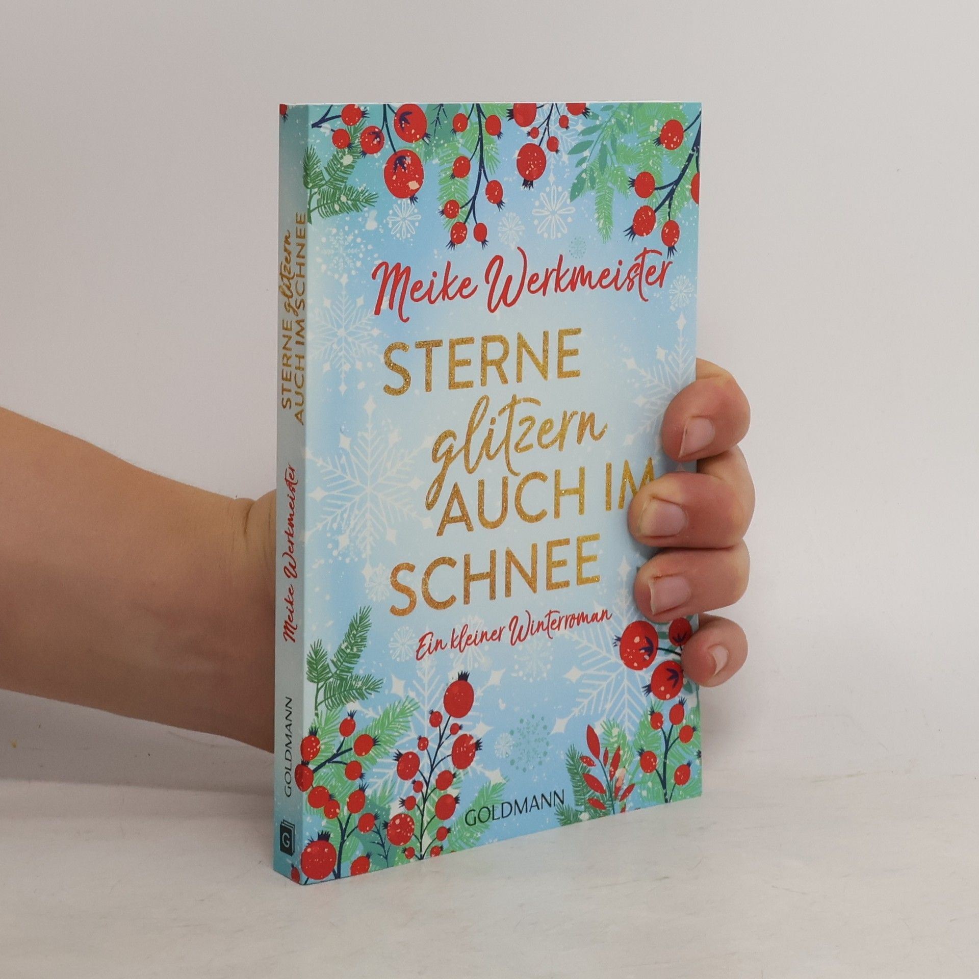 Meike Werkmeister Sterne glitzern auch im Schnee