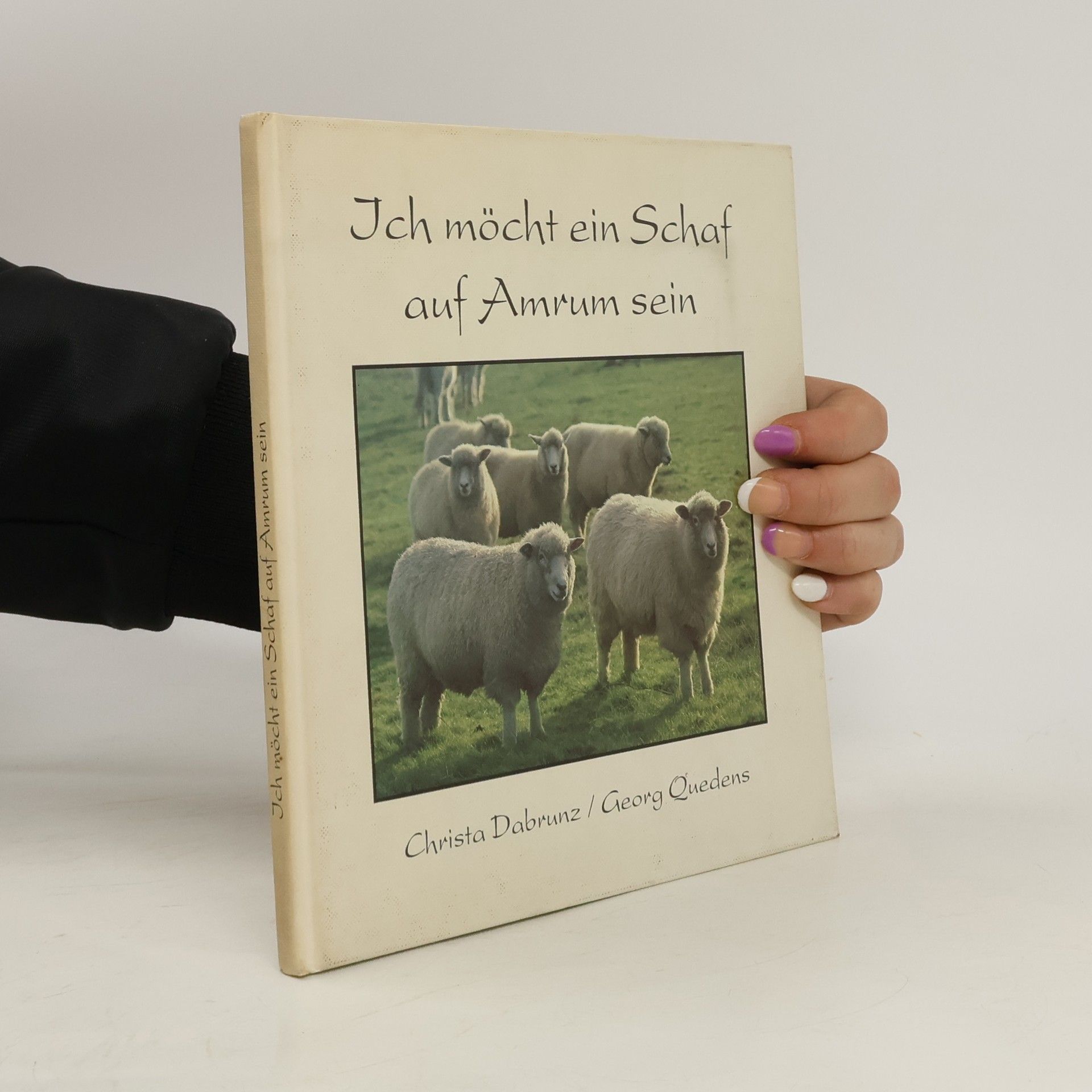 Christa Dabrunz Ich möcht ein Schaf auf Amrum sein