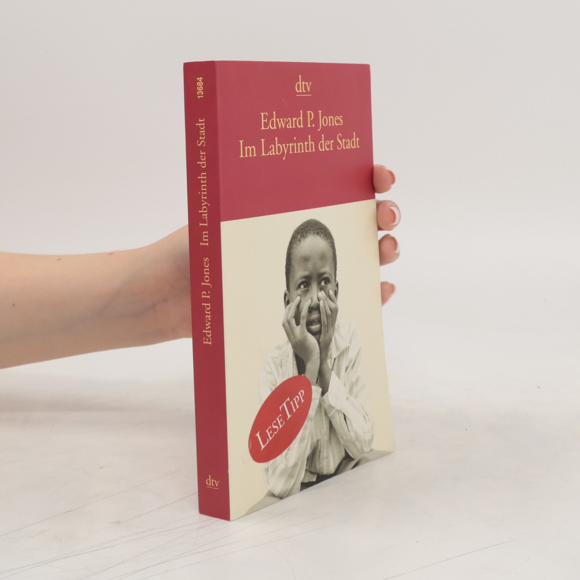 Edward P. Jones Im Labyrinth der Stadt