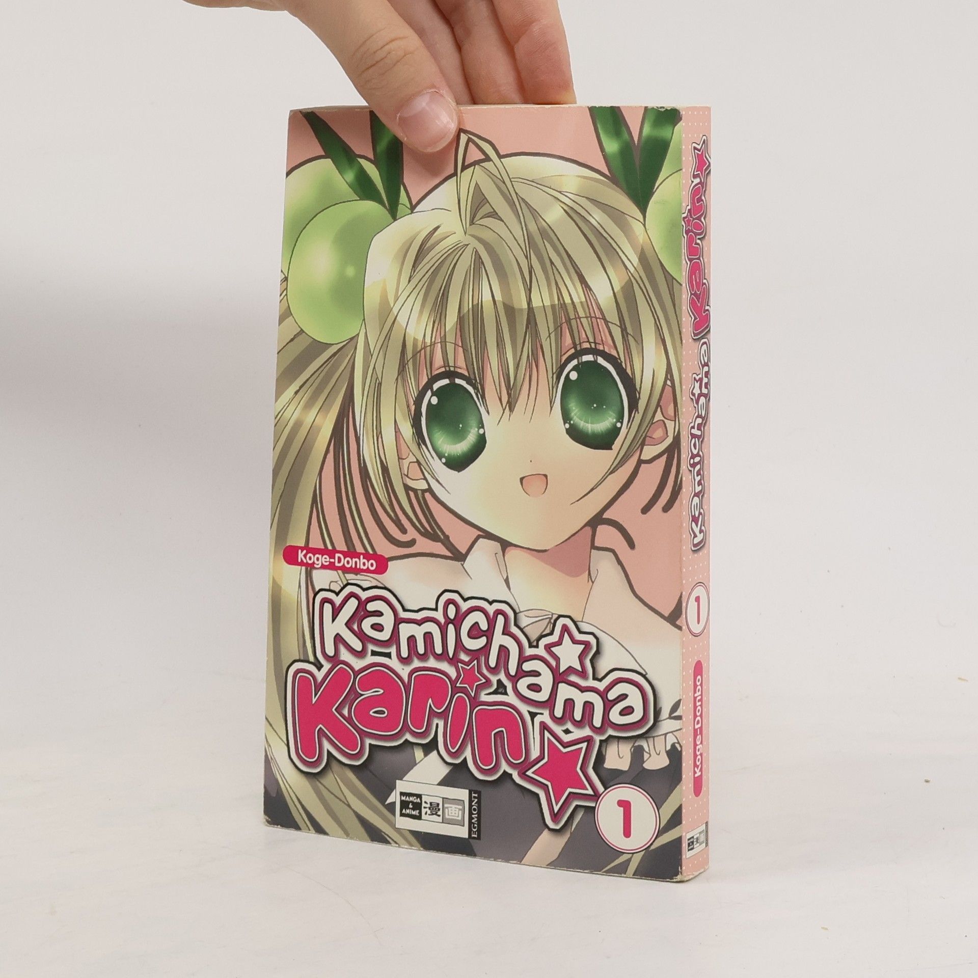 kolektiv Kamichama Karin