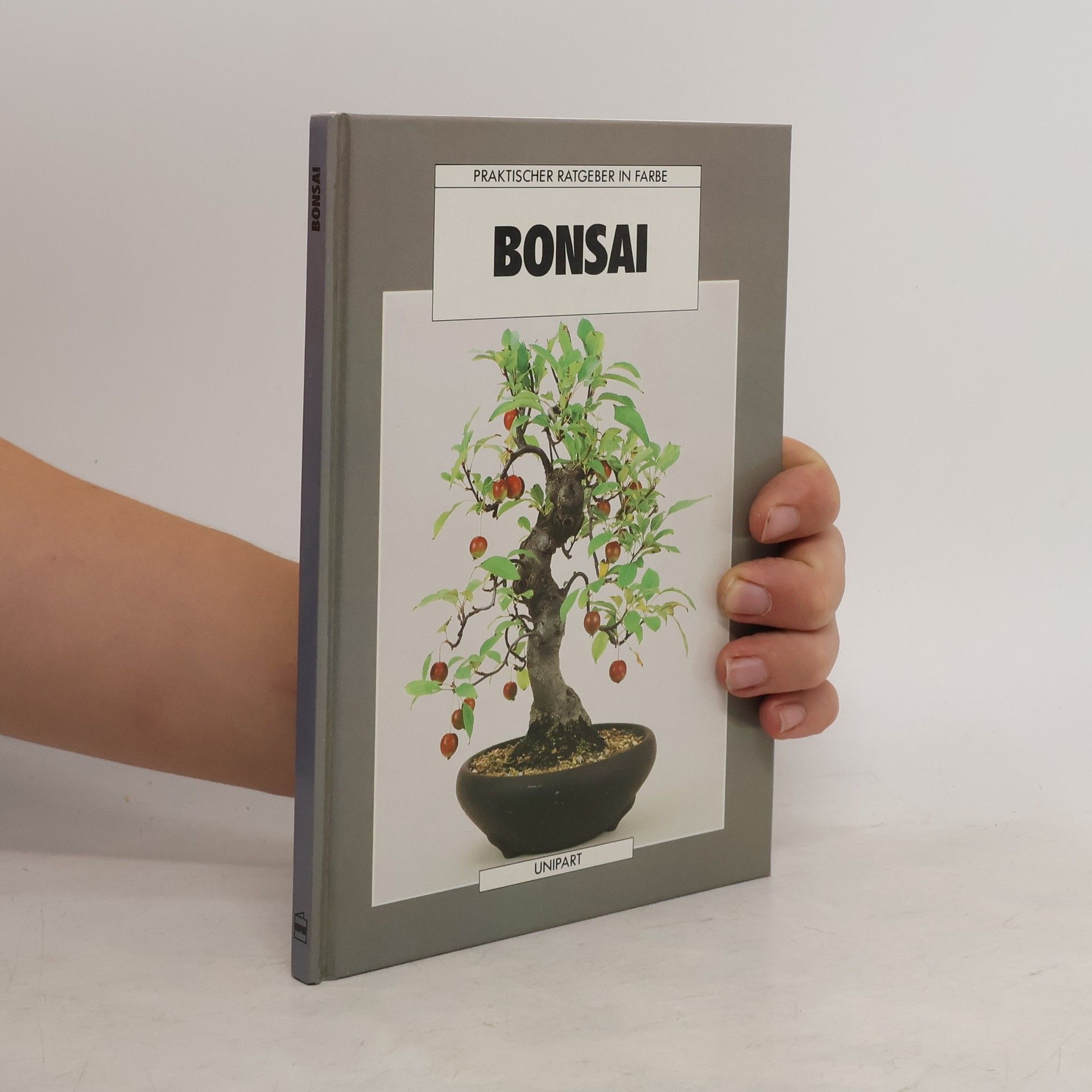 Anne Swinton Bonsai
