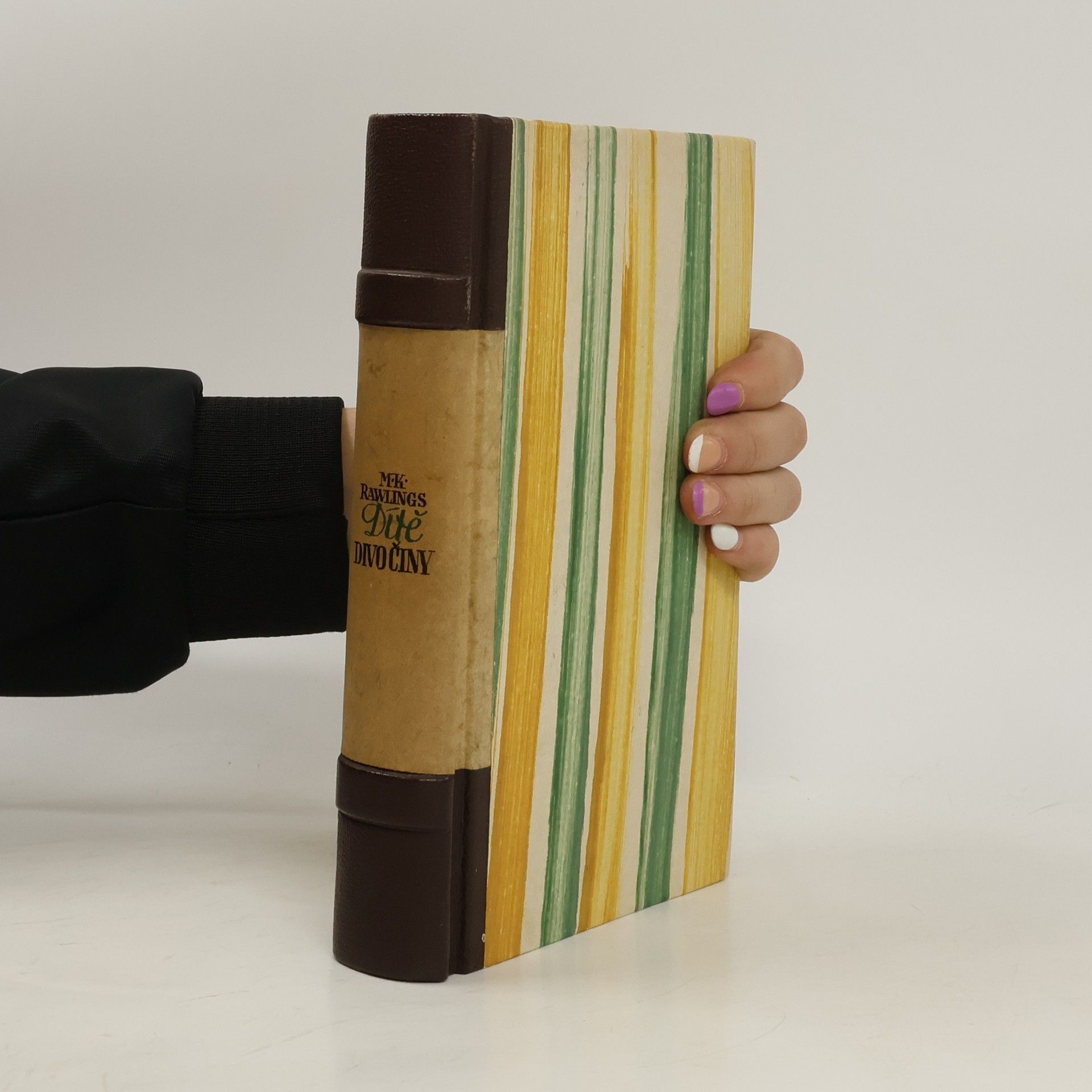 Marjorie Kinnan Rawlings Dítě divočiny