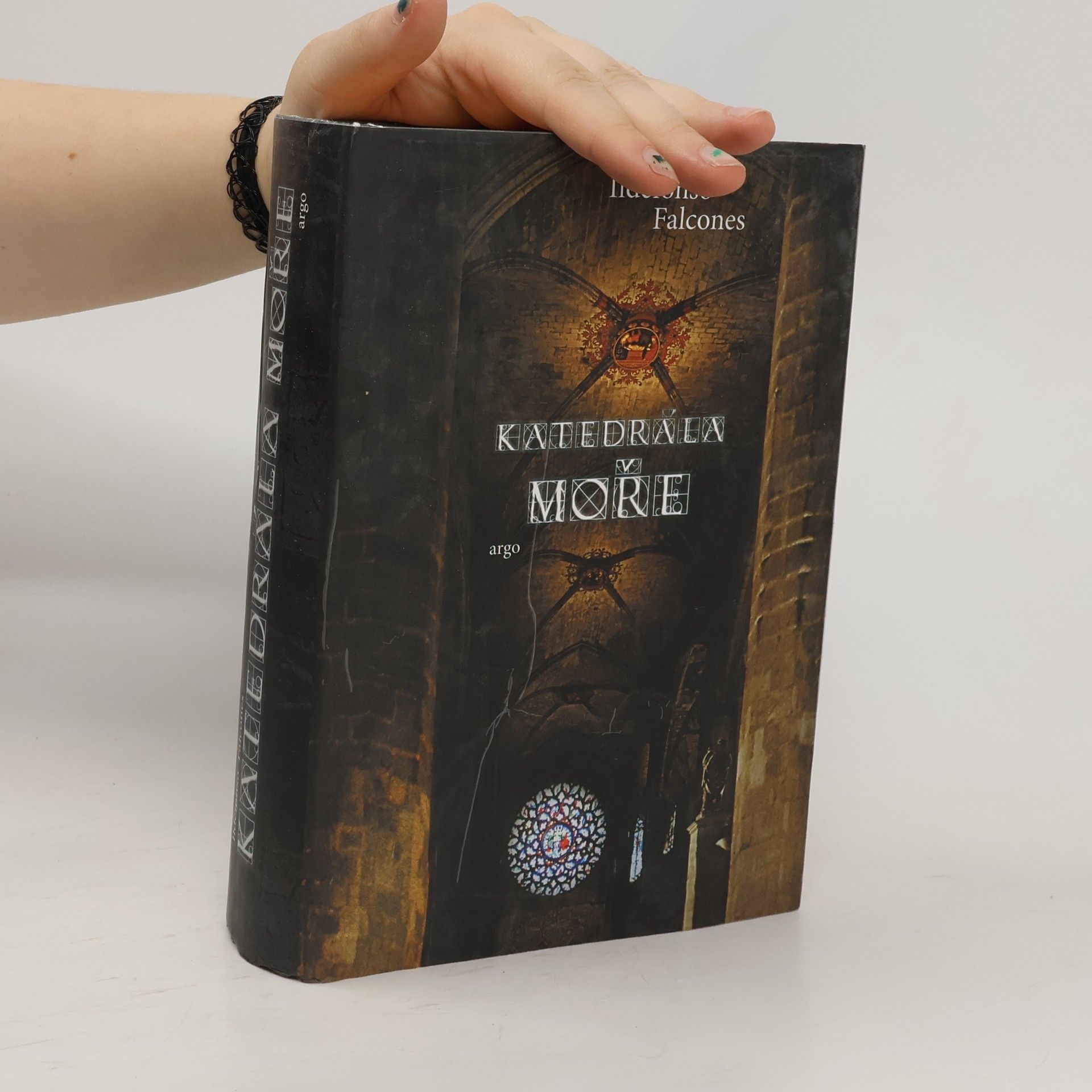 Ildefonso Falcones Katedrála moře