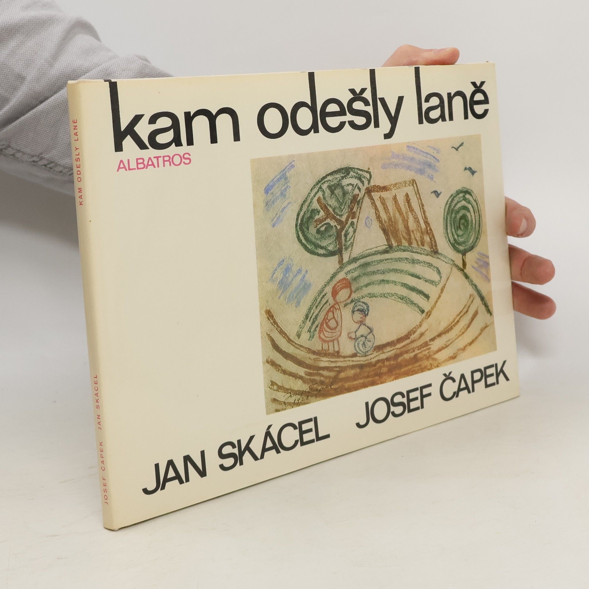 Jan Skácel Kam odešly laně