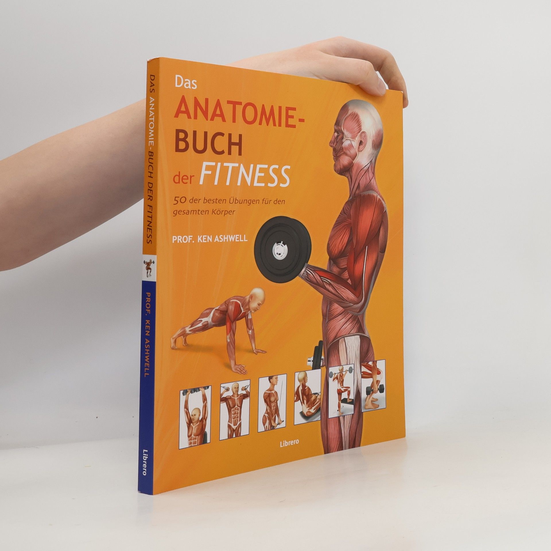 Ken Ashwell Das Anatomie-Buch der Fitness
