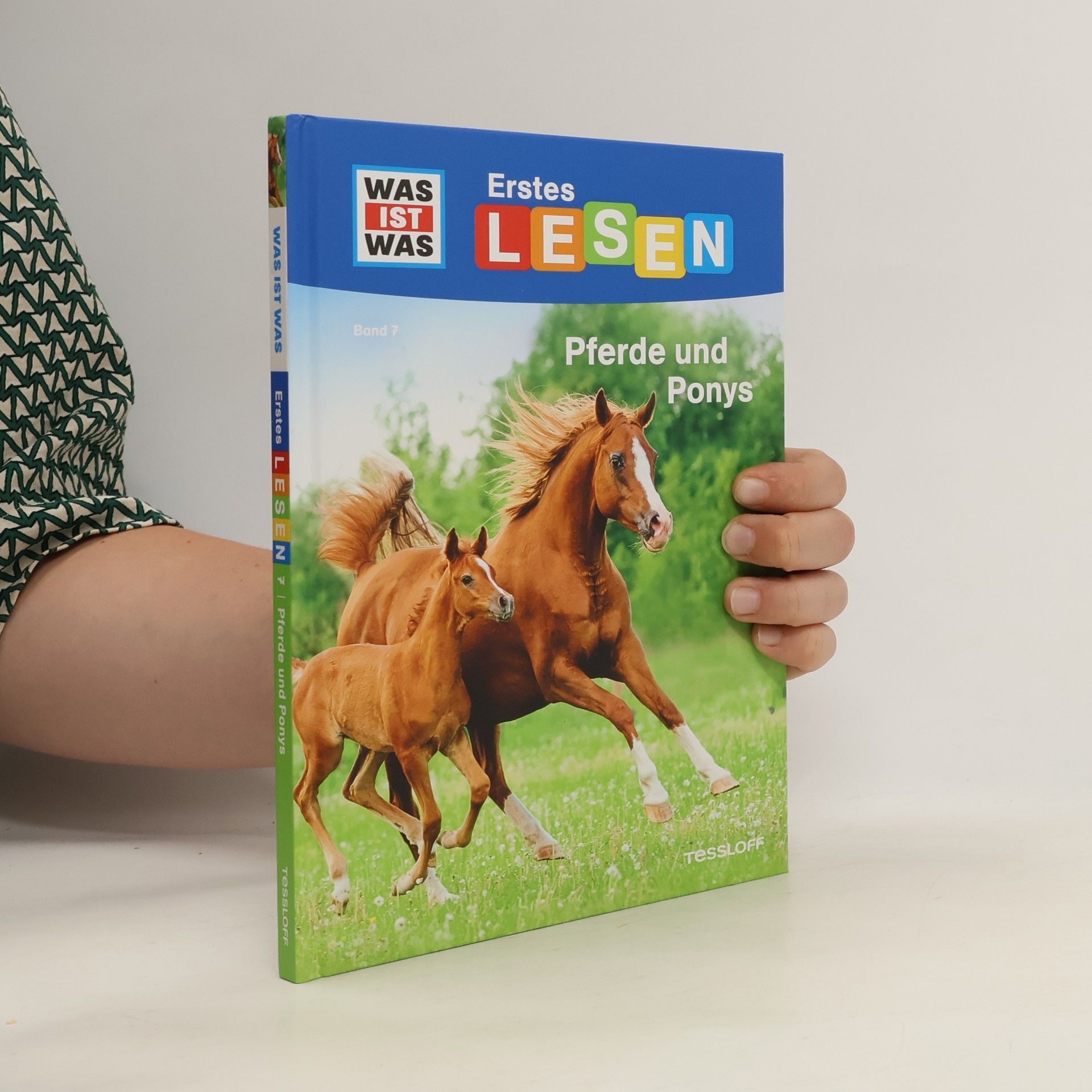 Christina Braun Pferde und Ponys