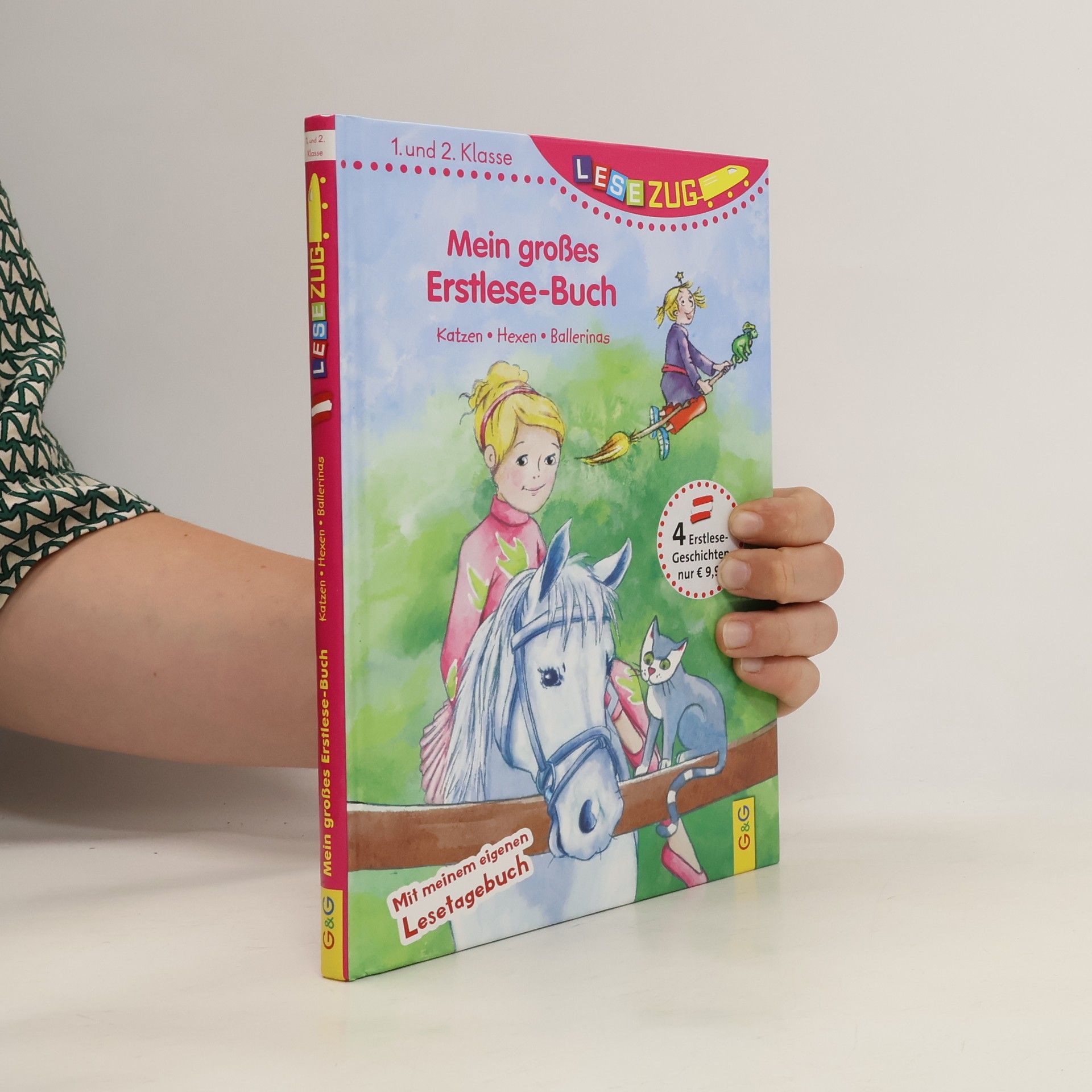 Michaela Holzinger Mein großes Erstlese-Buch - Katzen, Hexen, Ballerinas