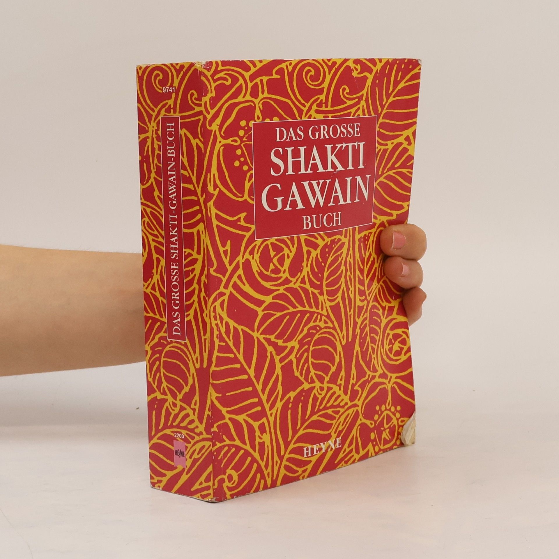 Shakti Gawain Das grosse Shakti-Gawain Buch