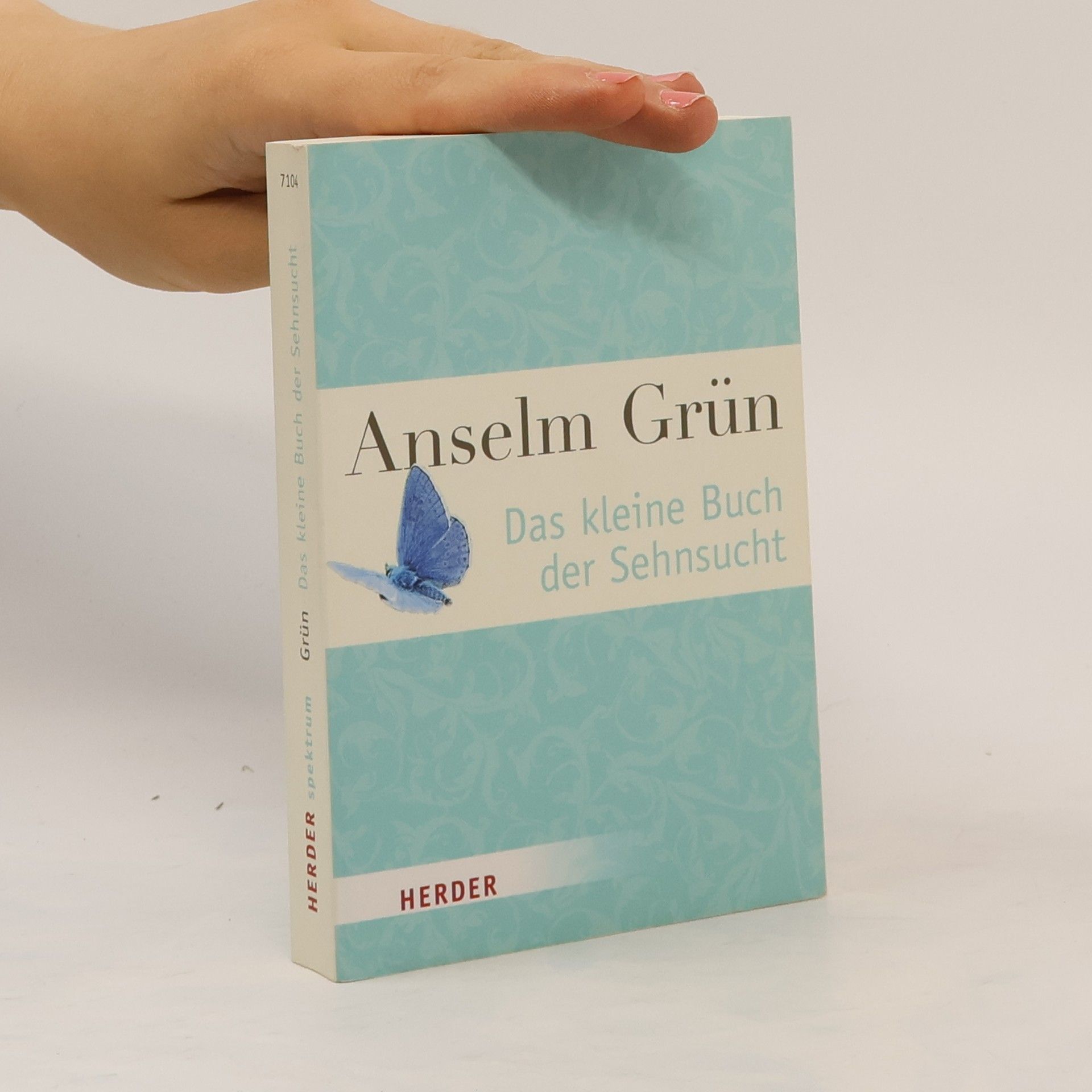 Anselm Grün Das kleine Buch der Sehnsucht