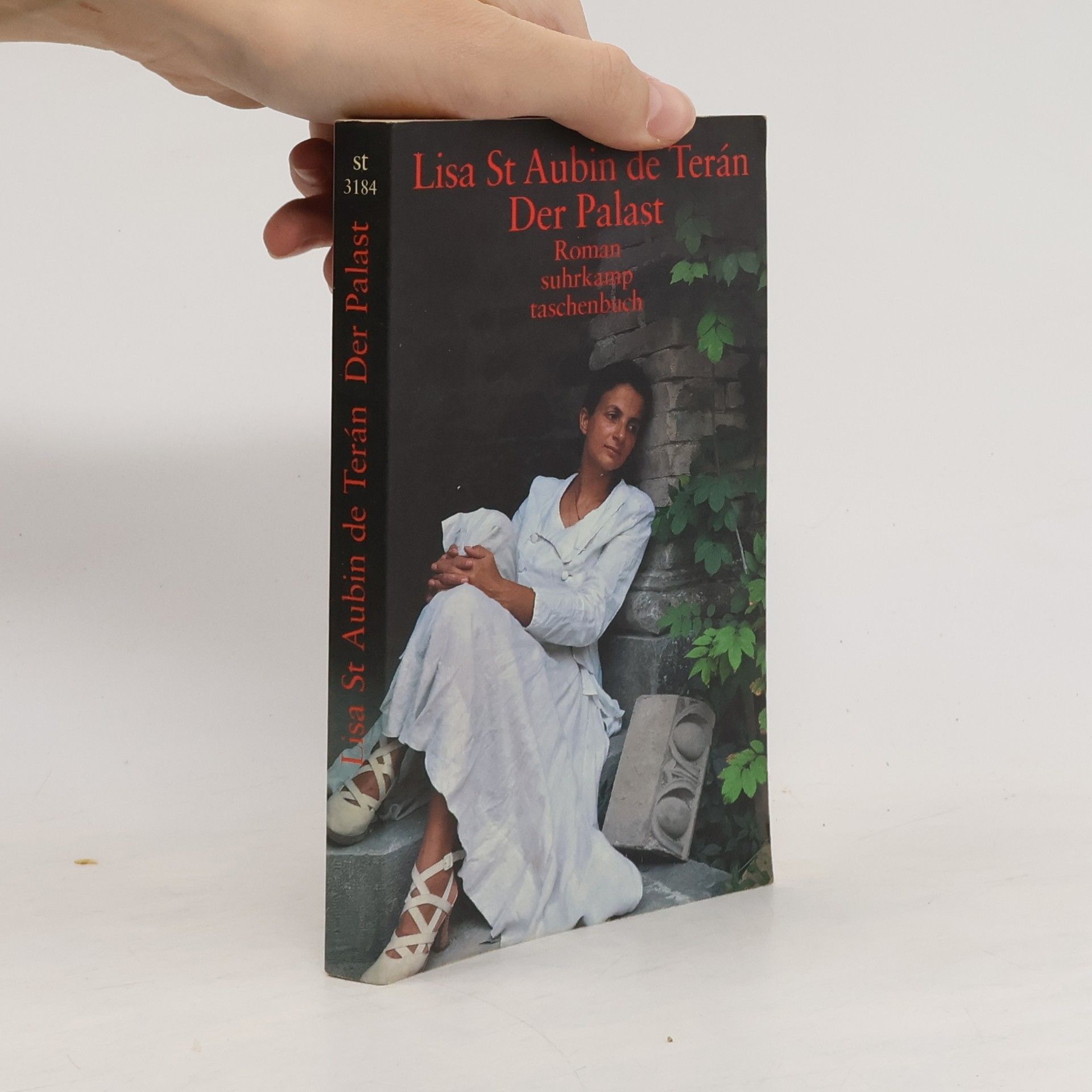 Lisa St Aubin de Terán Der Palast