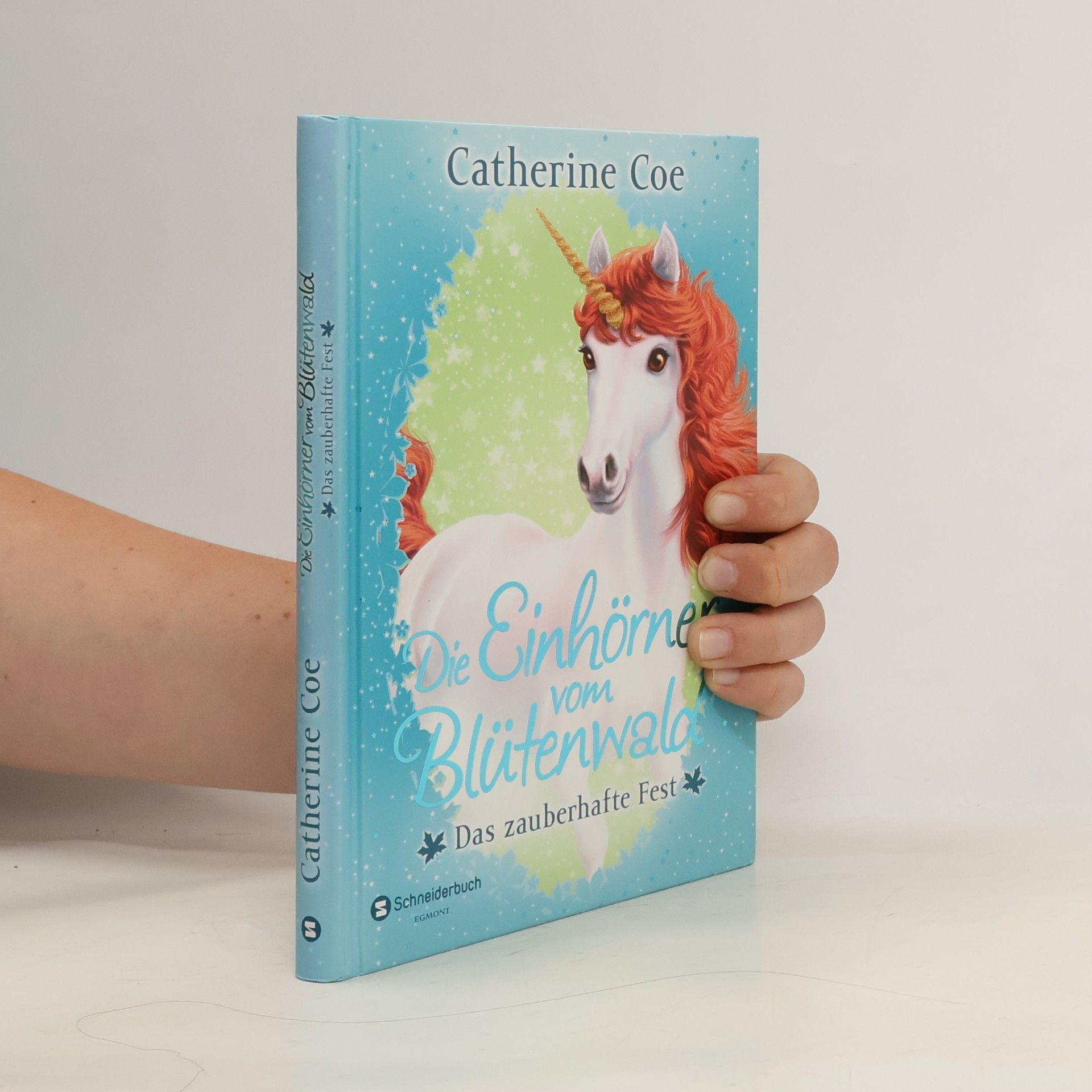 Catherine Coe Das zauberhafte Fest