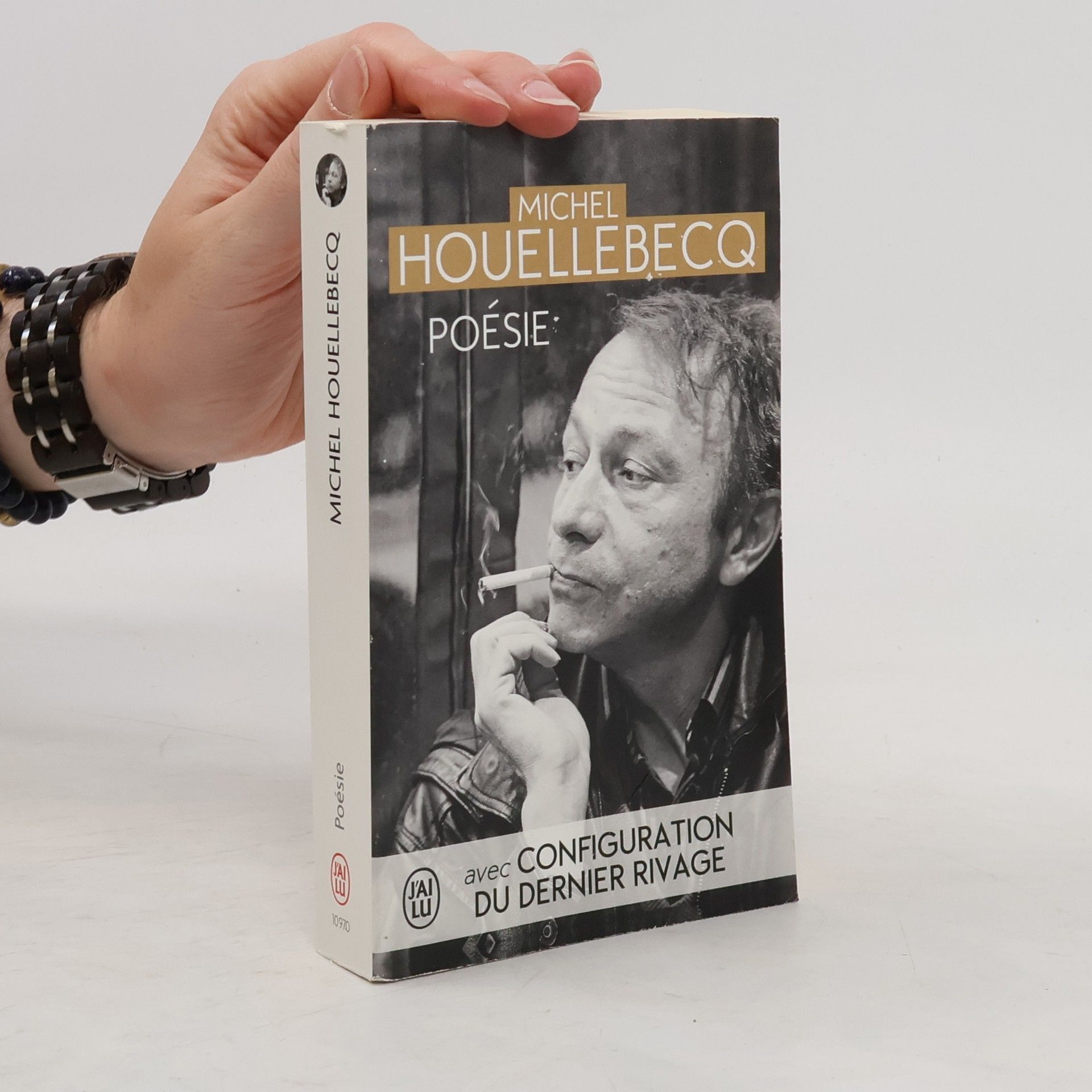 Michel Houellebecq Poesie