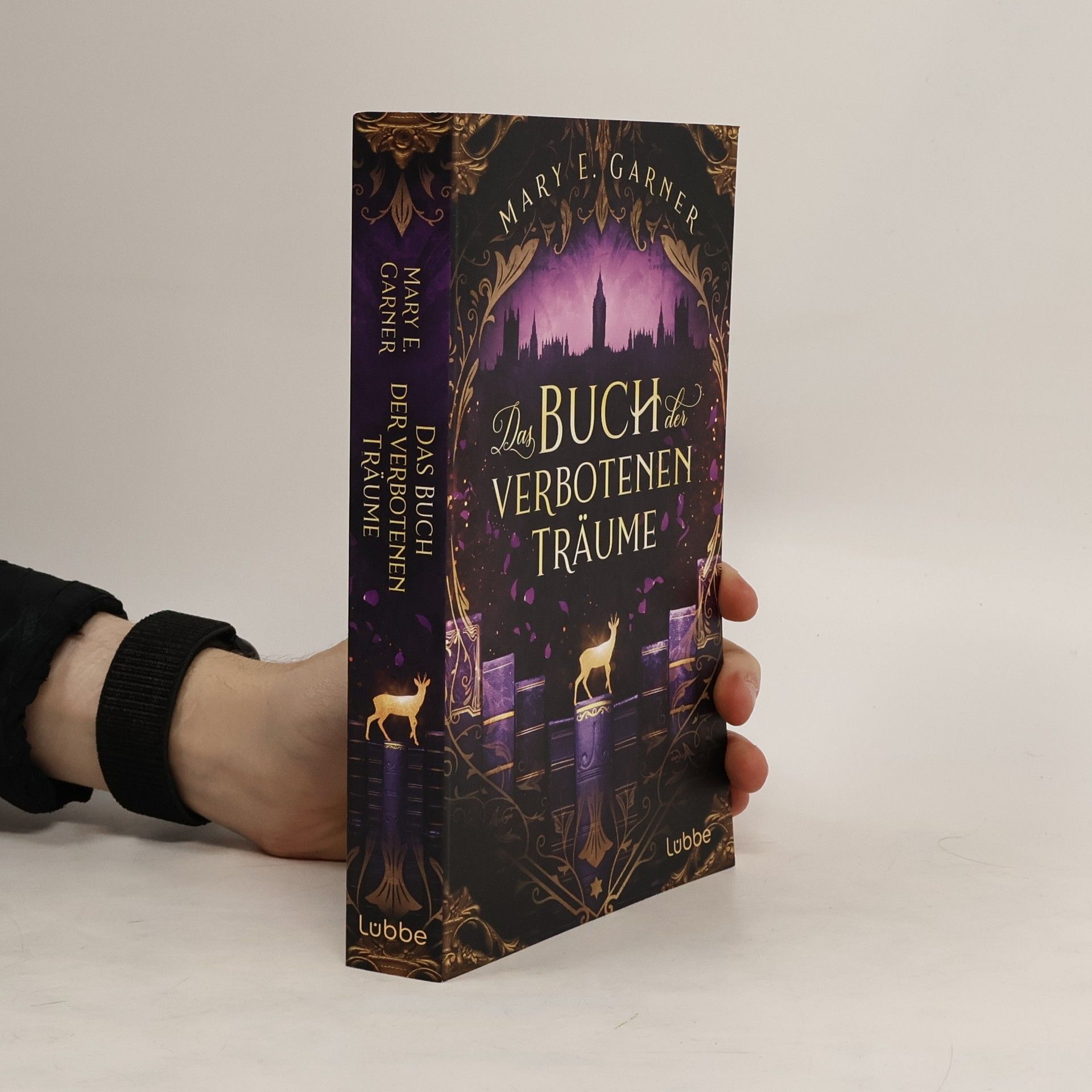Mary E. Garner Das Buch der verbotenen Träume / Das Buch der gelöschten Wörter Bd.5