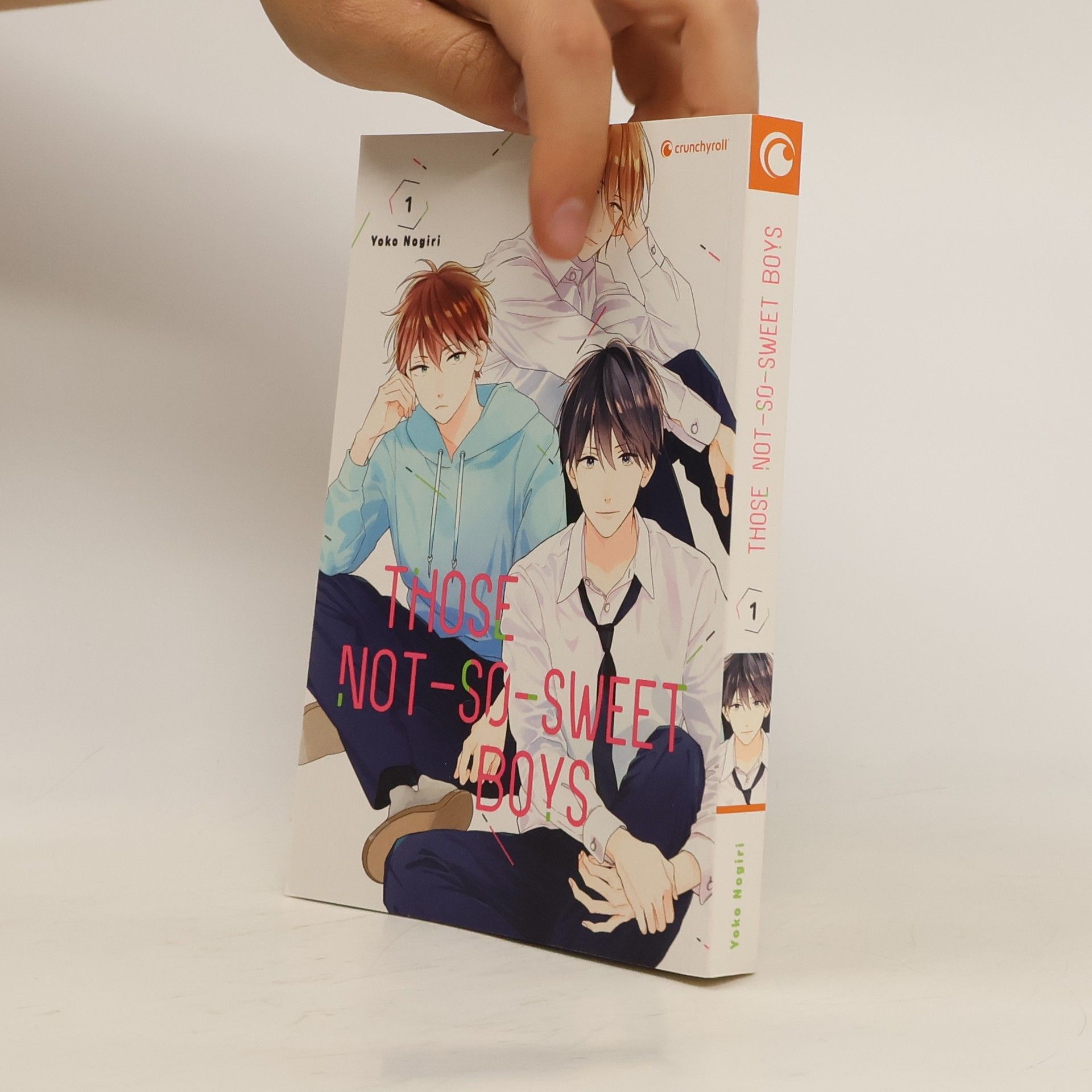 Yoko Nogiri Those Not-So-Sweet Boys – Band 1