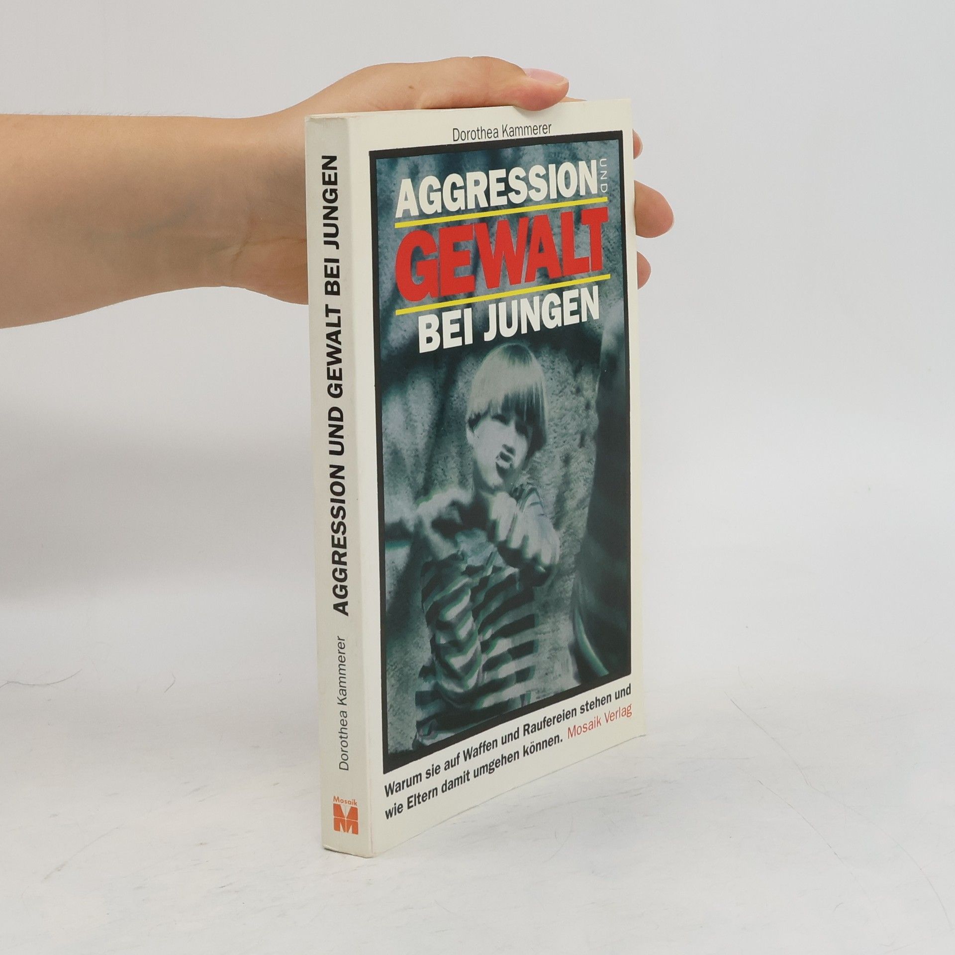 Doro Kammerer Aggression und Gewalt bei Jungen