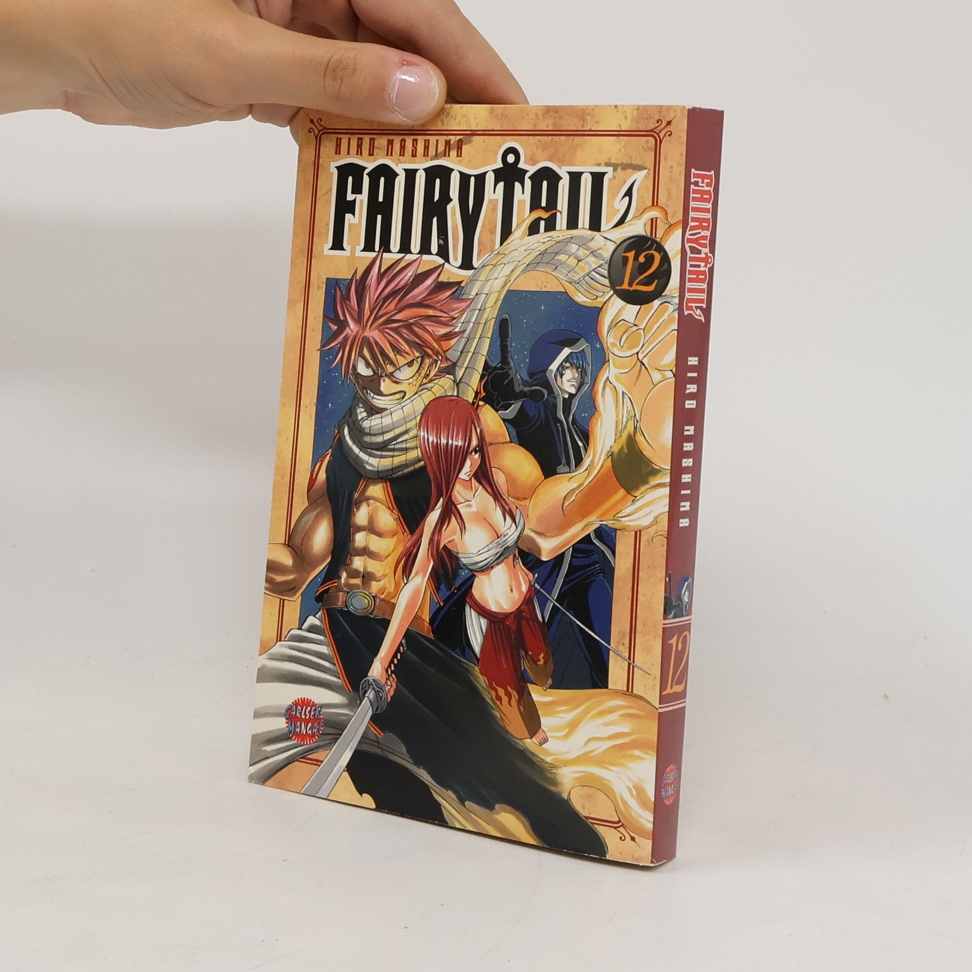 Hiro M. Fairy Tail Volume 12