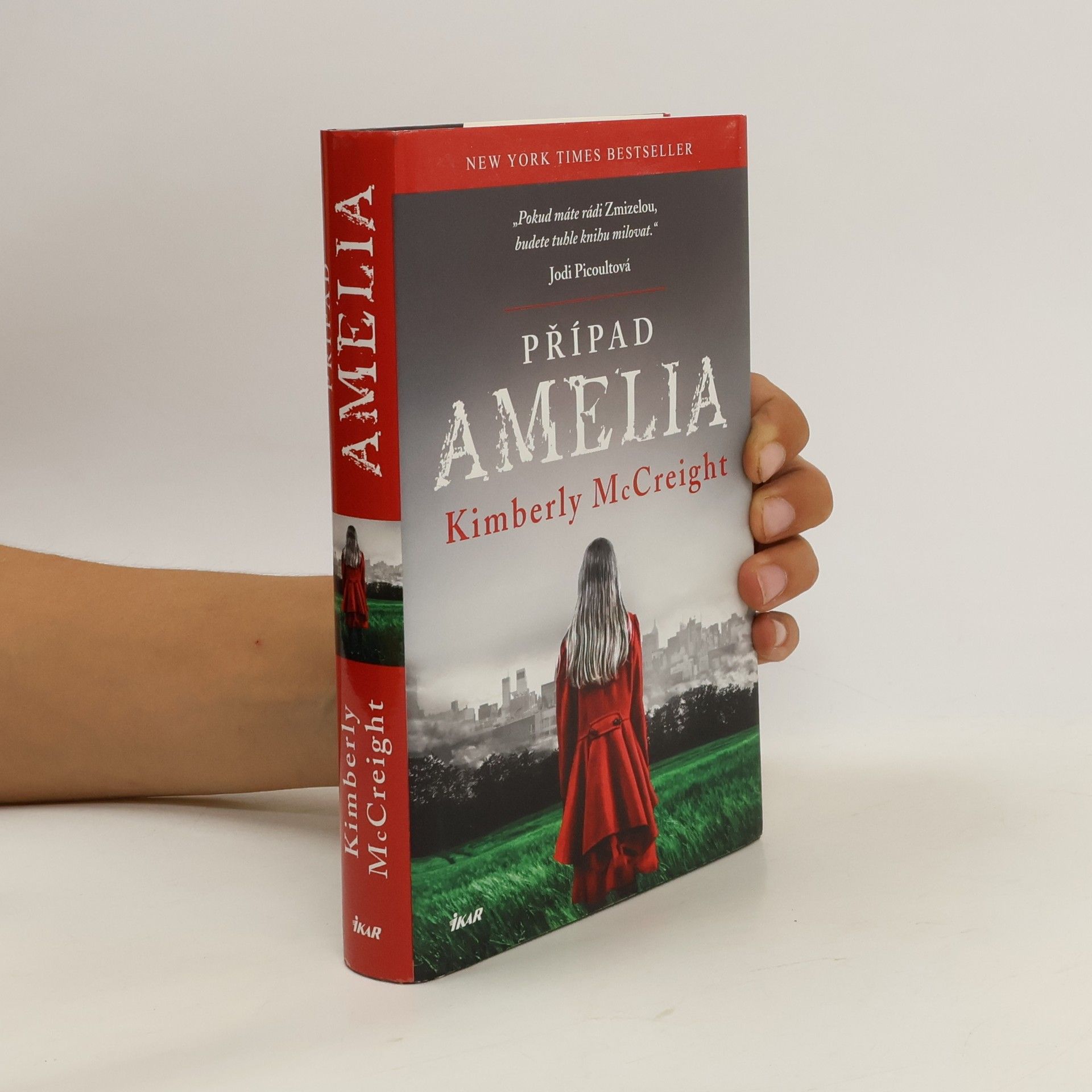 Kimberly McCreight Případ Amelia